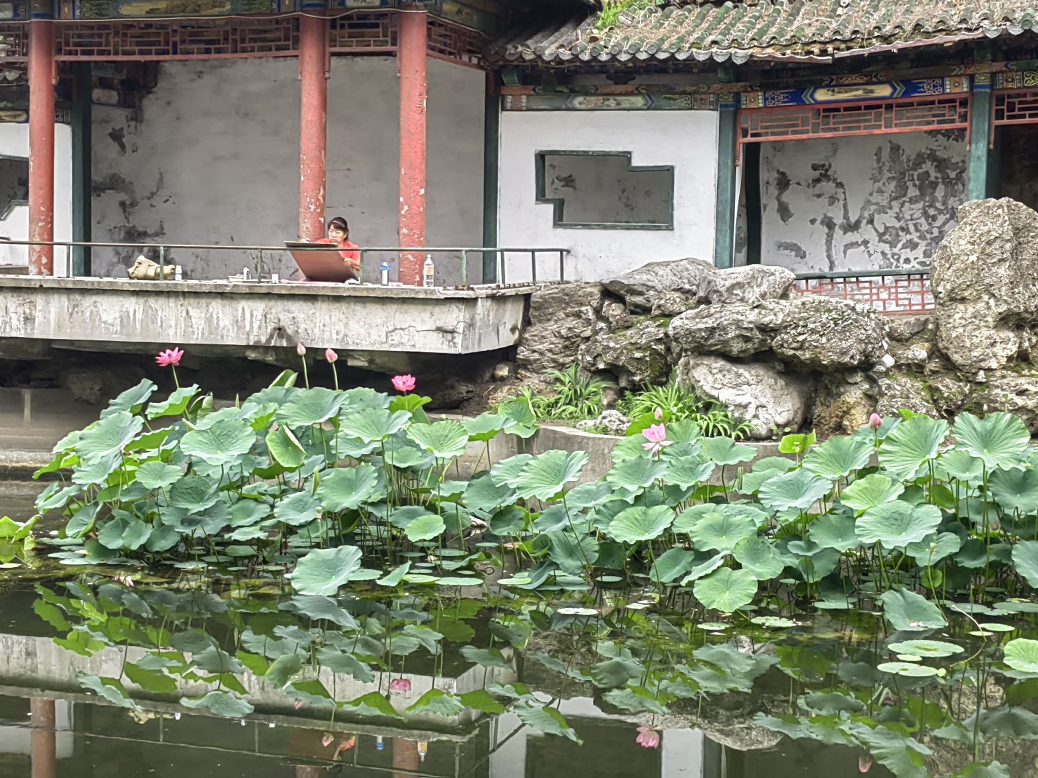 南山公园旅行图片 3