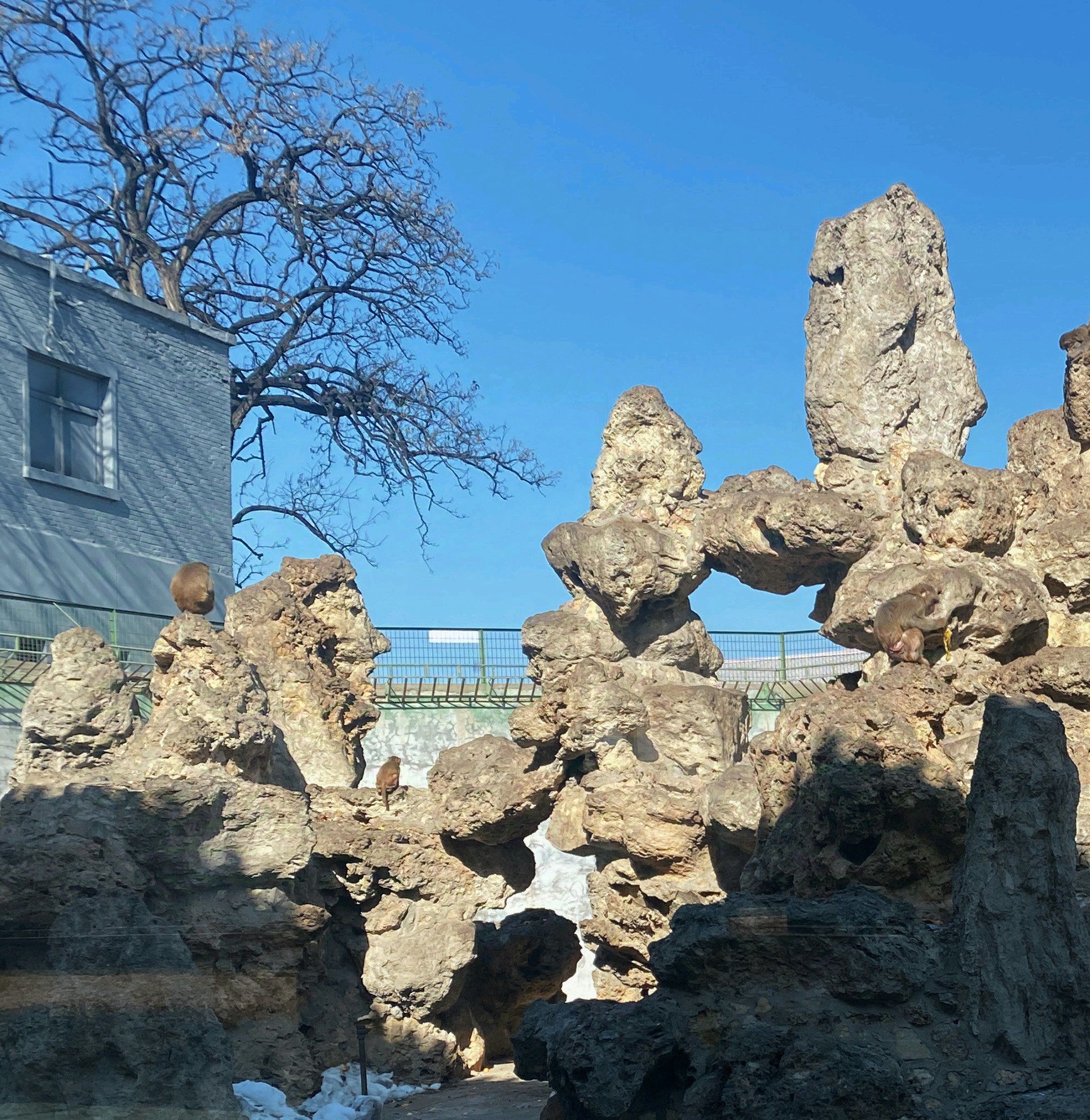 南山公园旅行图片 3