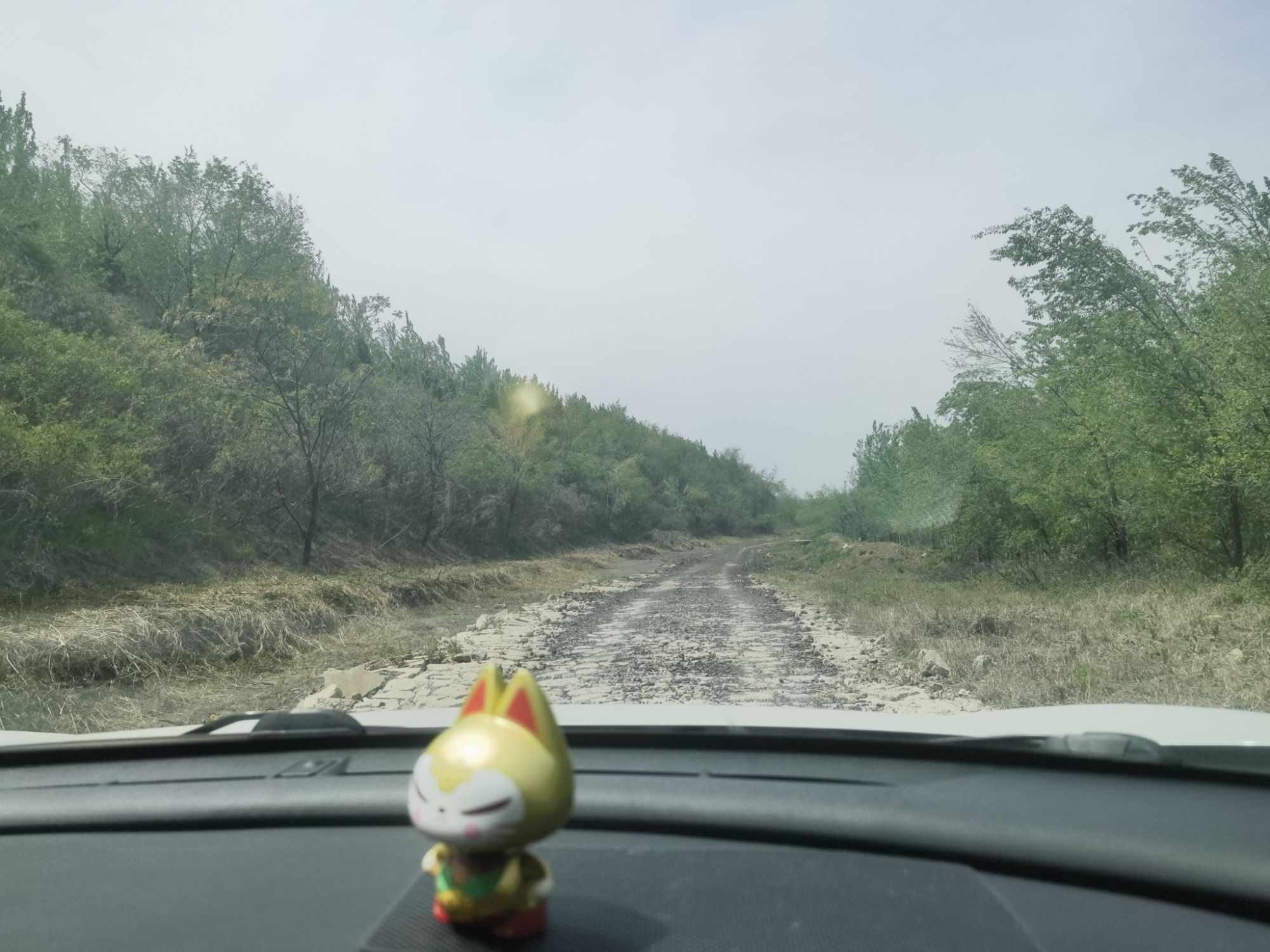 新城森林公园旅行图片 1