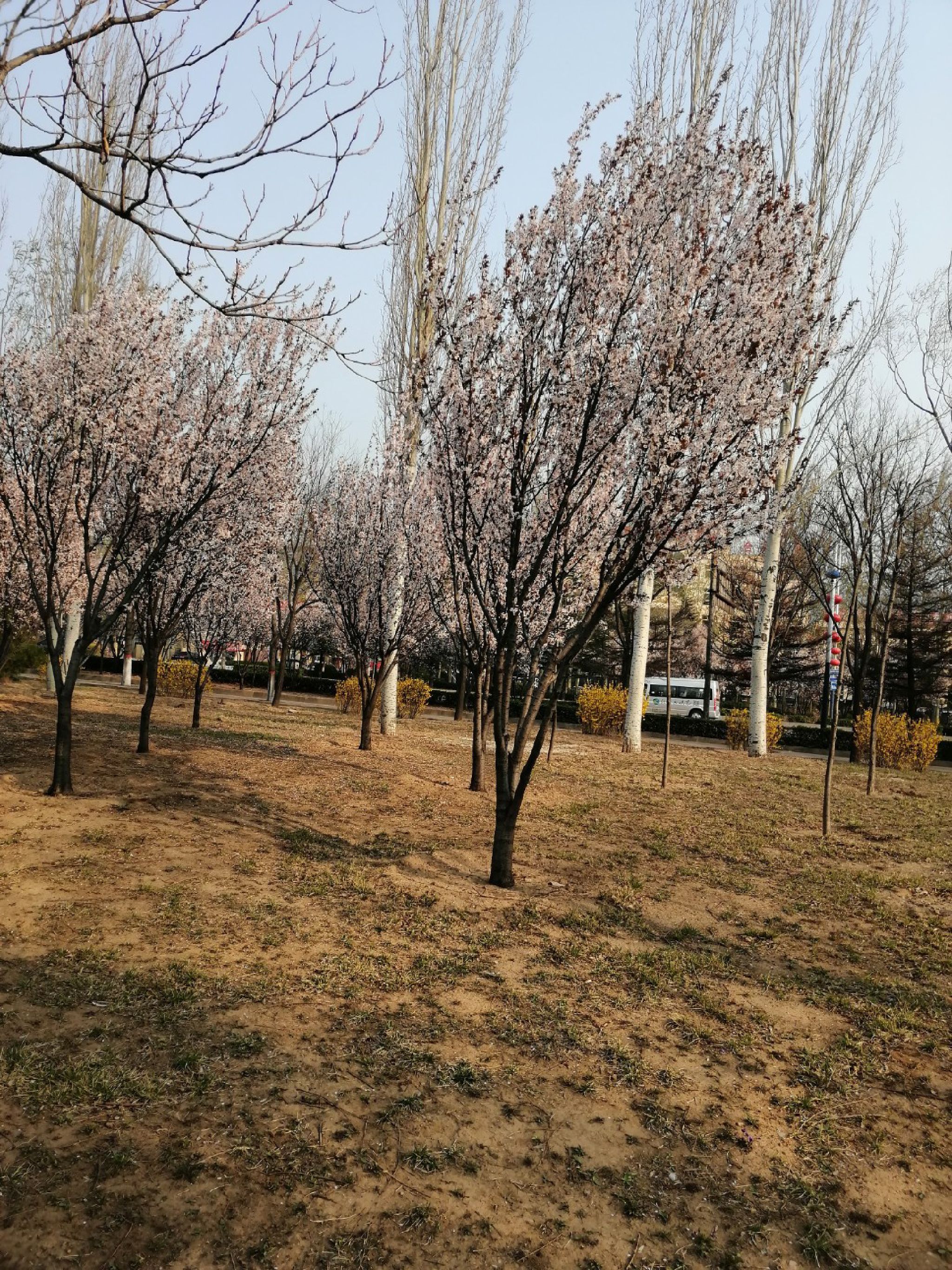 赛鱼公园旅行图片 1