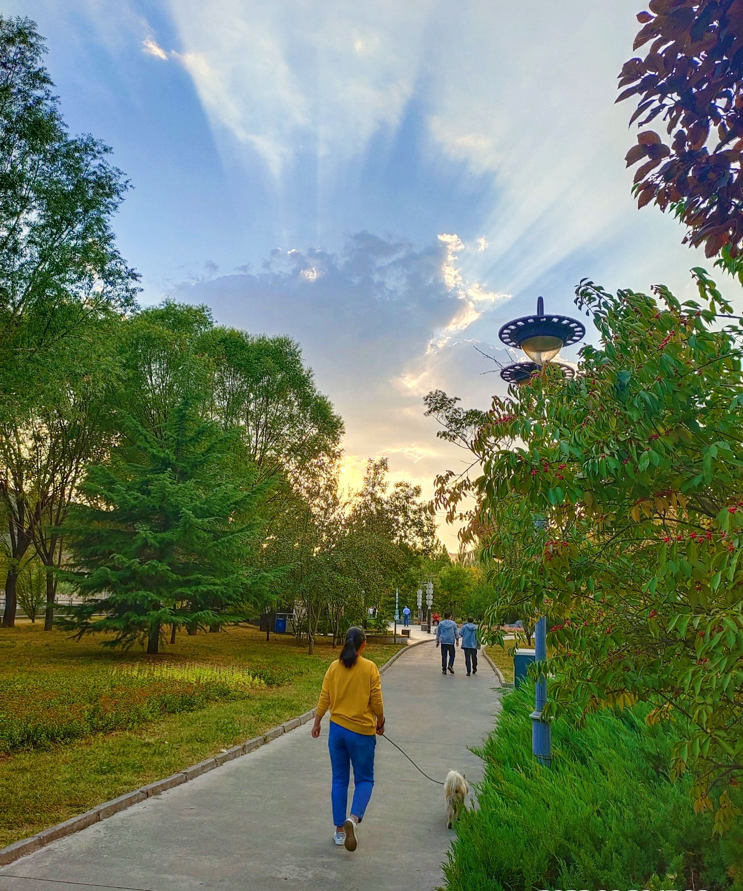 赛鱼公园旅行图片 2