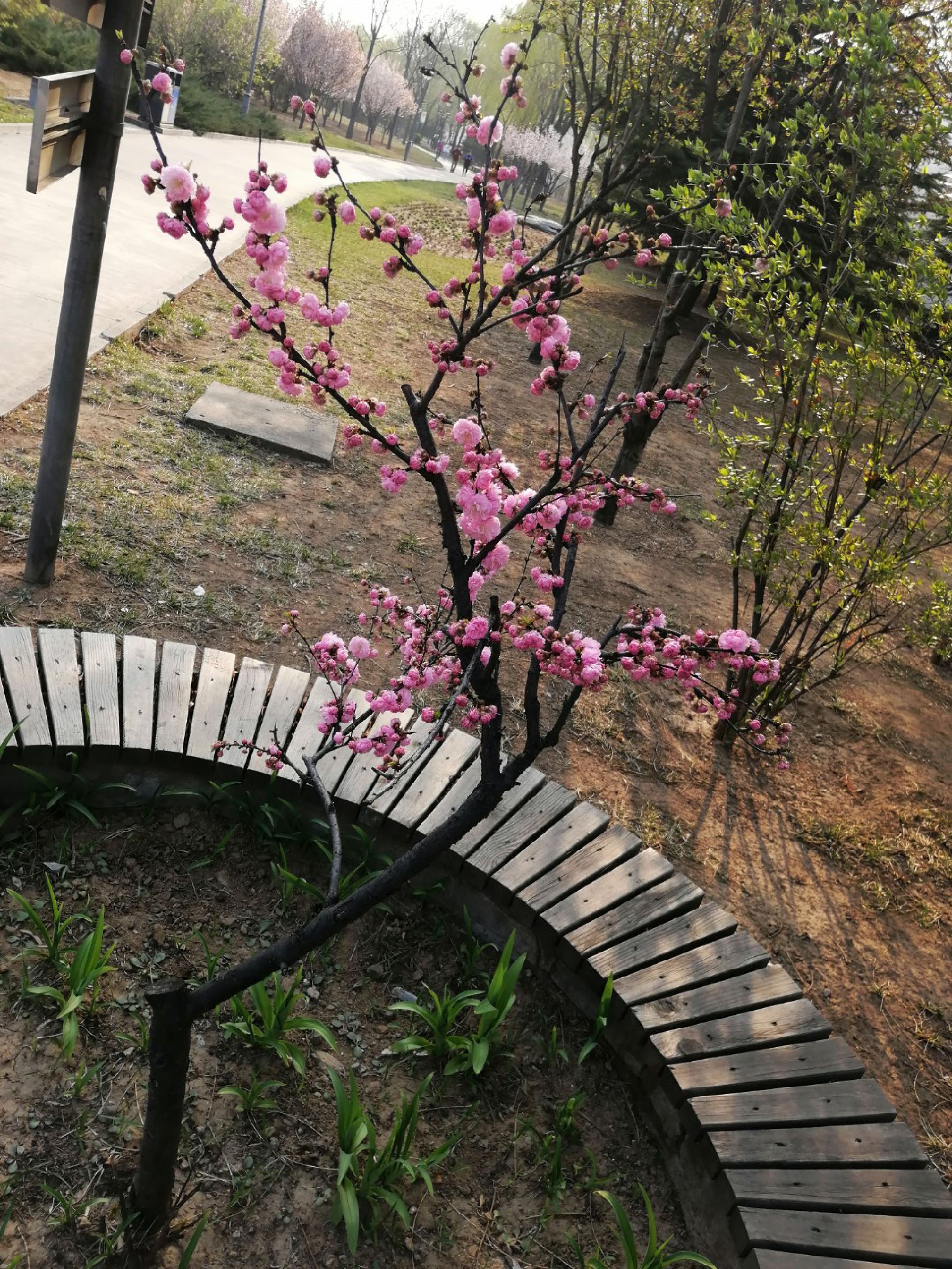 赛鱼公园旅行图片 3