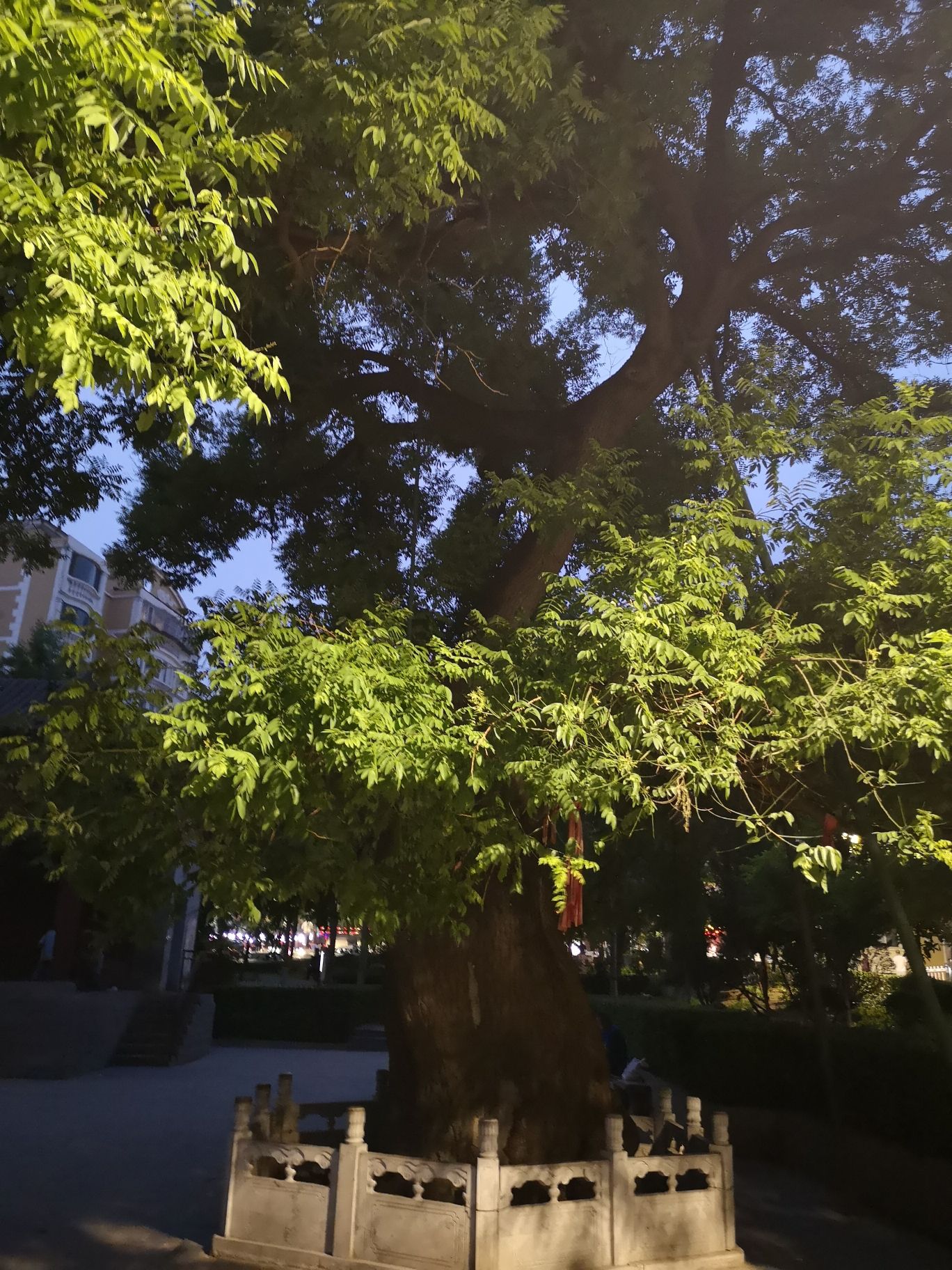新泉观广场旅行图片 3