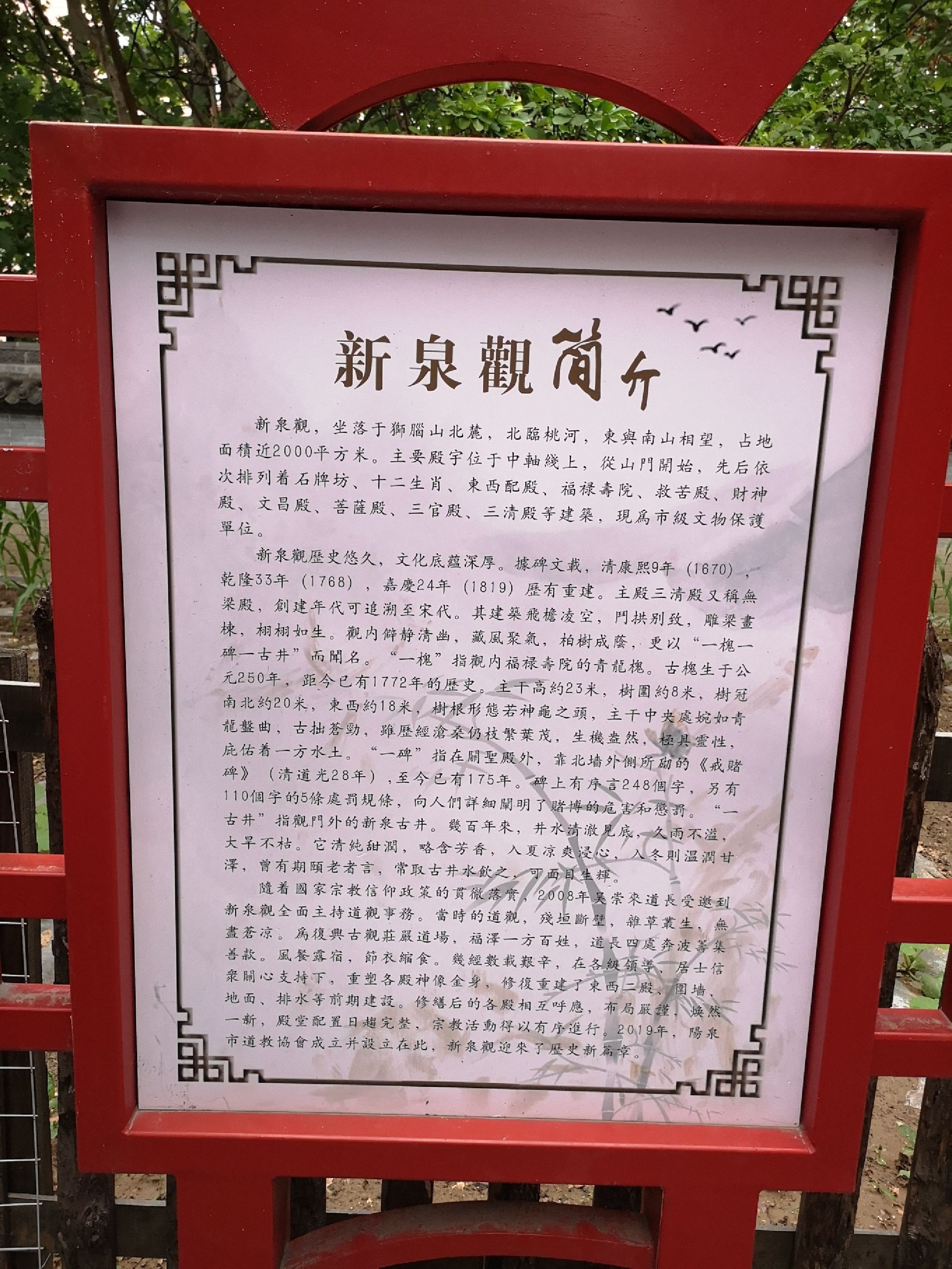 新泉观广场旅行图片 1