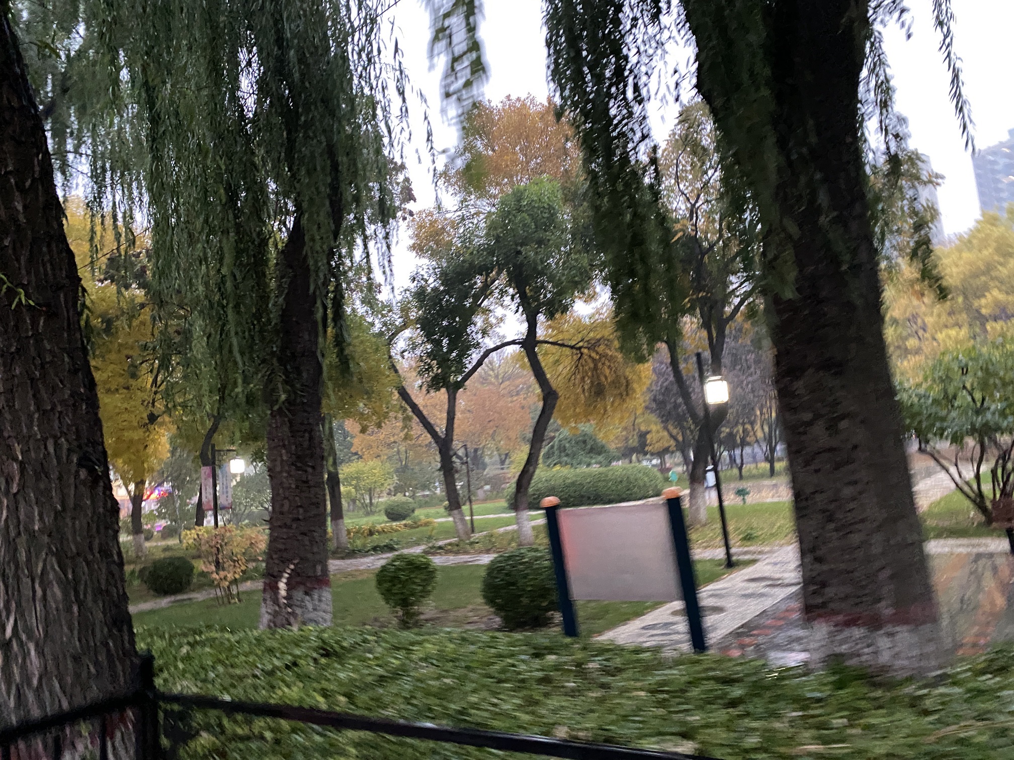 站前公园旅行图片 2