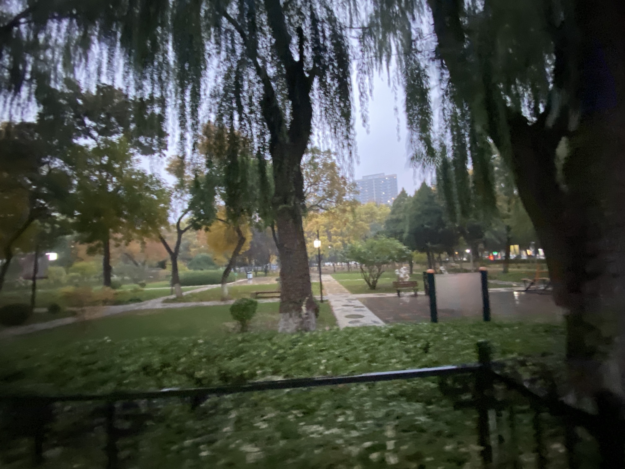 站前公园旅行图片 3
