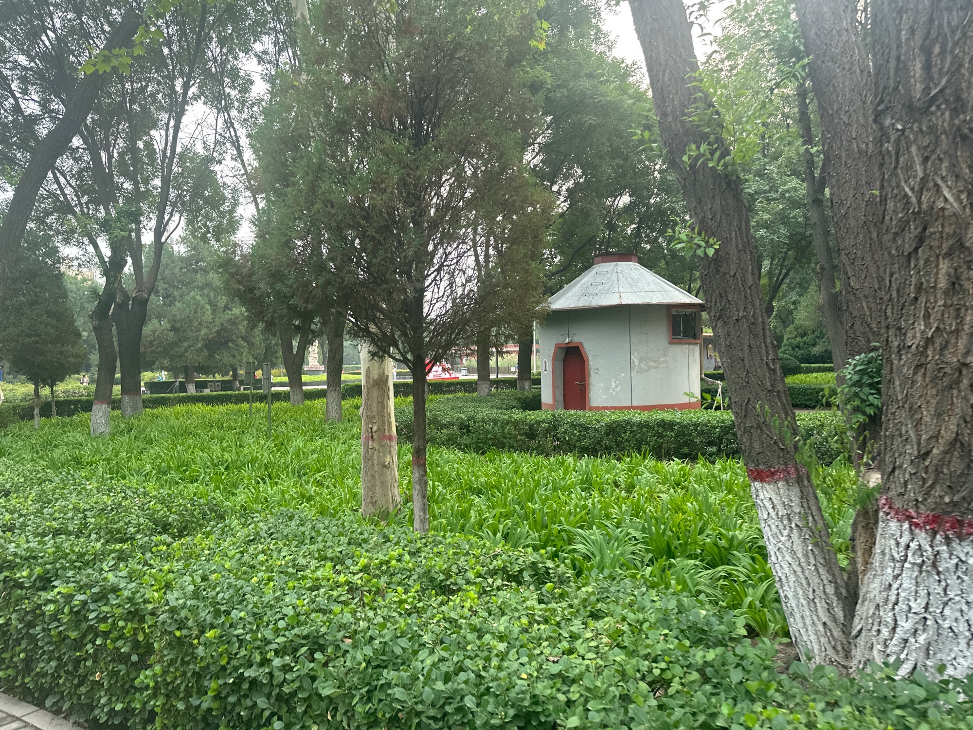 经纬公园旅行图片 1