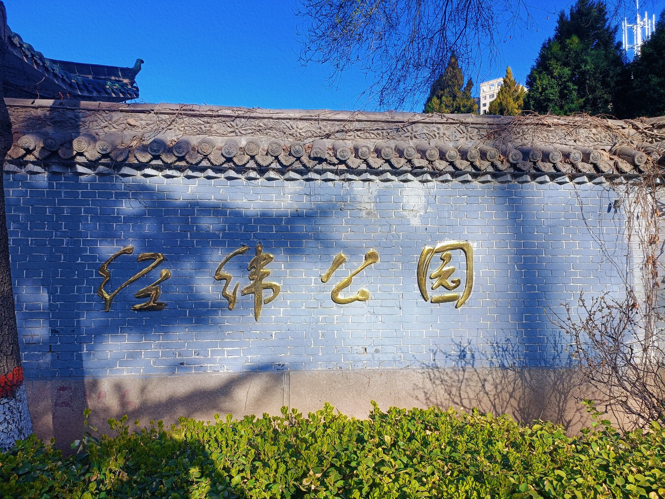 经纬公园旅行图片 2