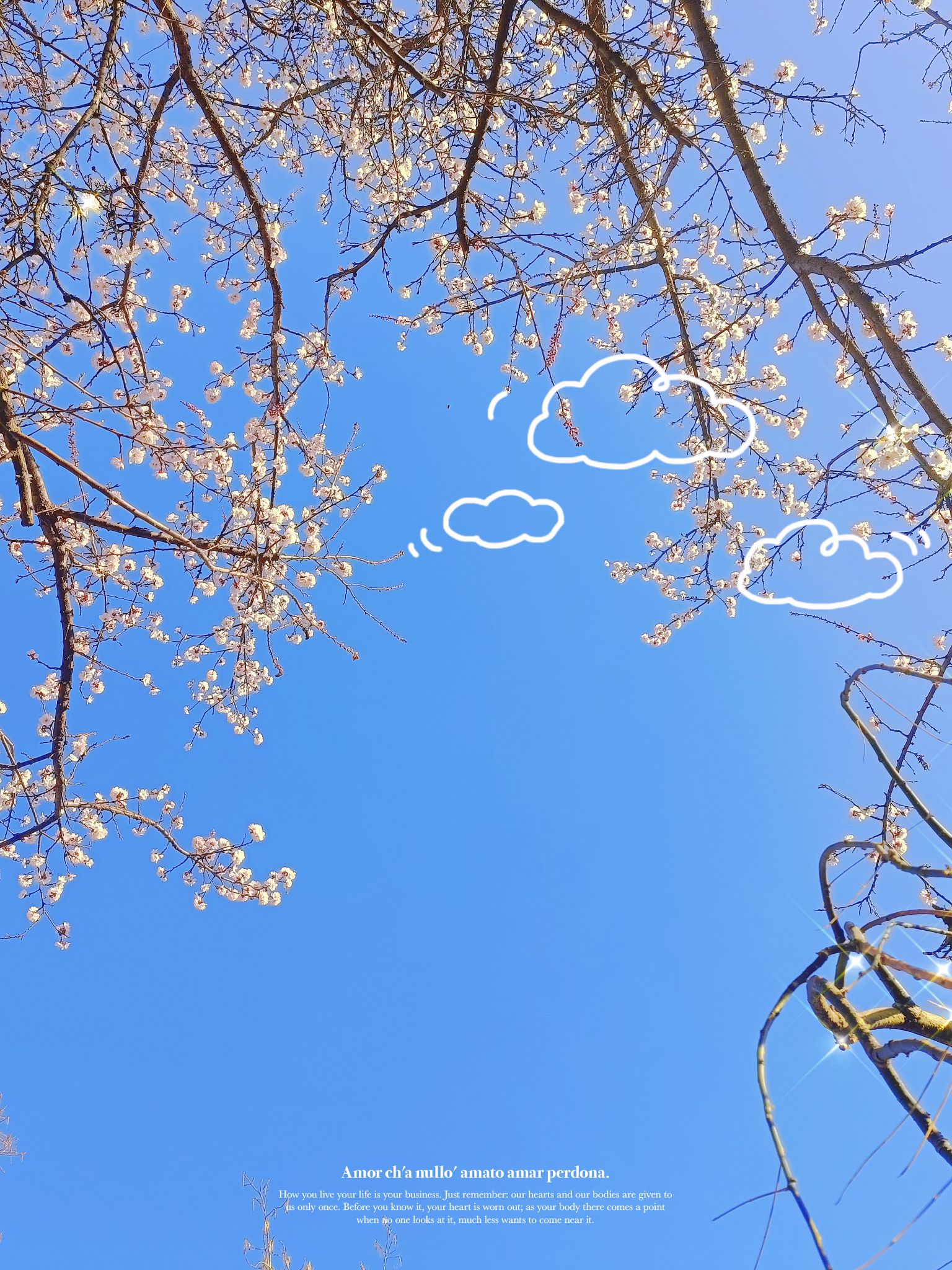 经纬公园旅行图片 1