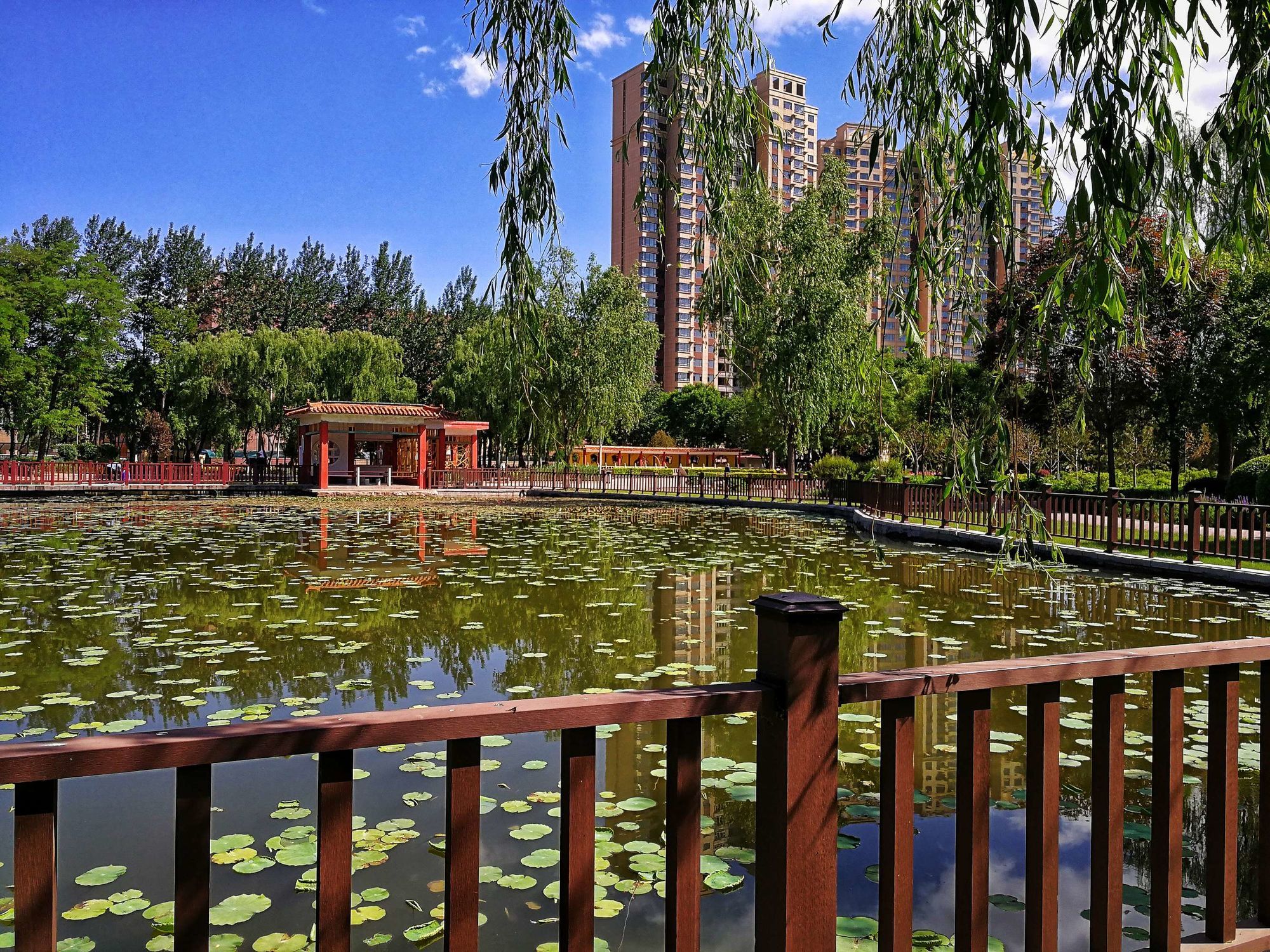 经纬公园旅行图片 3