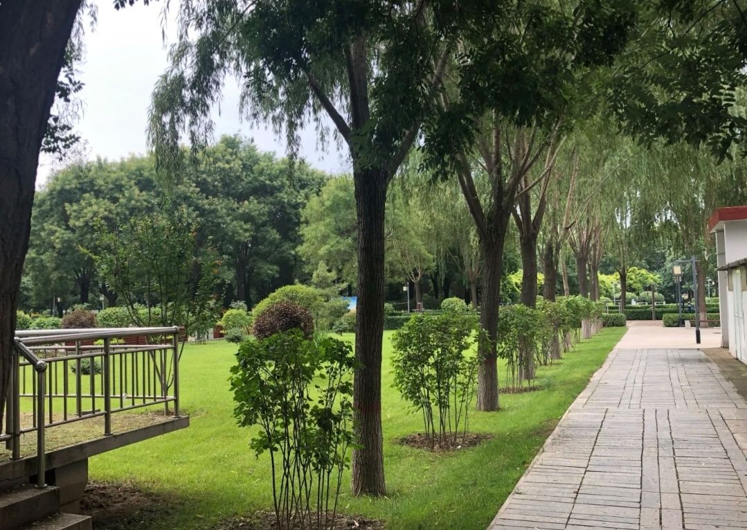 经纬公园旅行图片 3