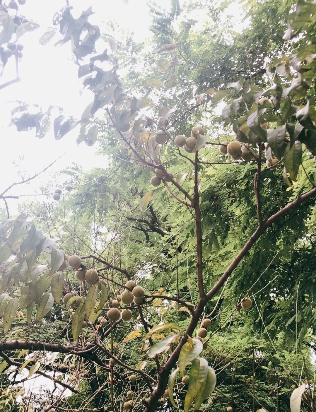 经纬公园旅行图片 1