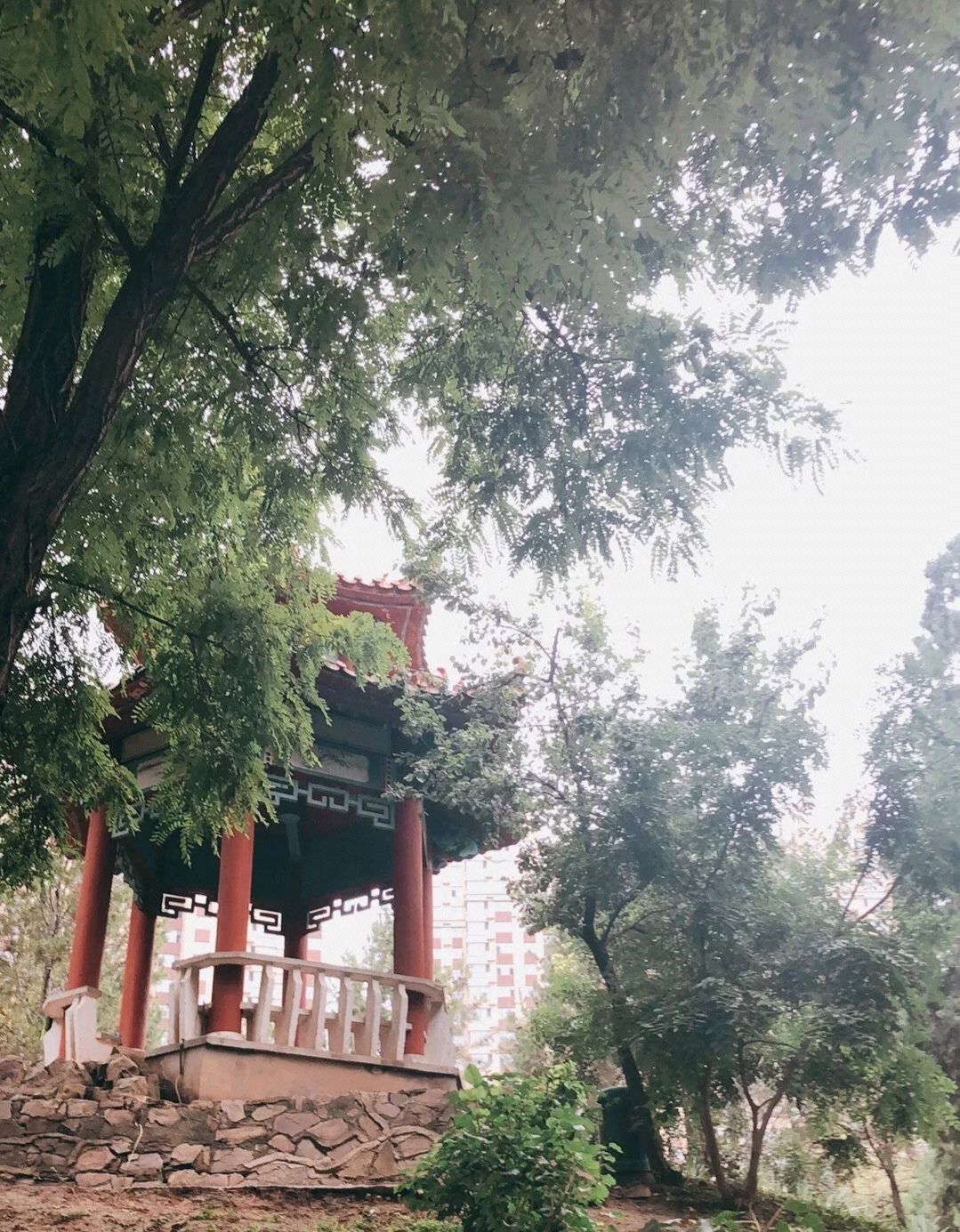 经纬公园旅行图片 2