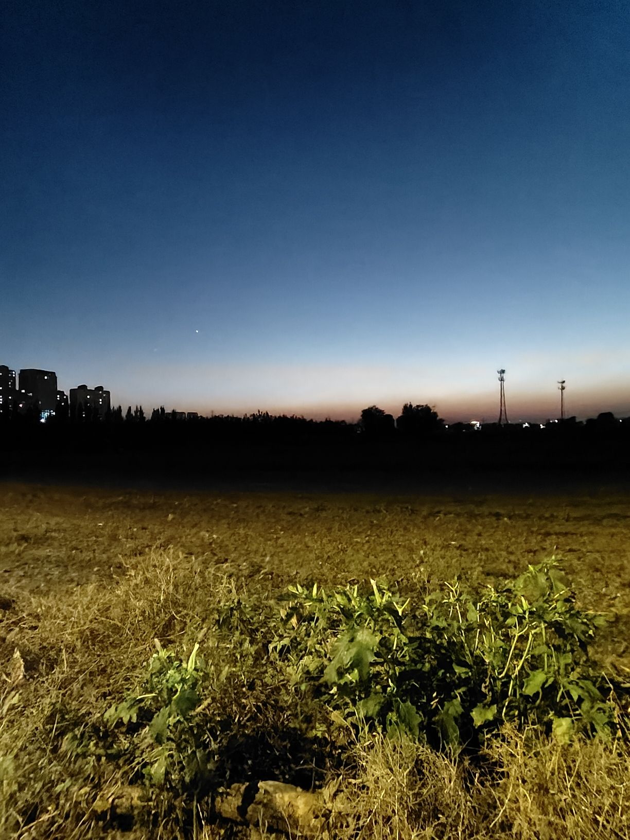 经纬公园旅行图片 2