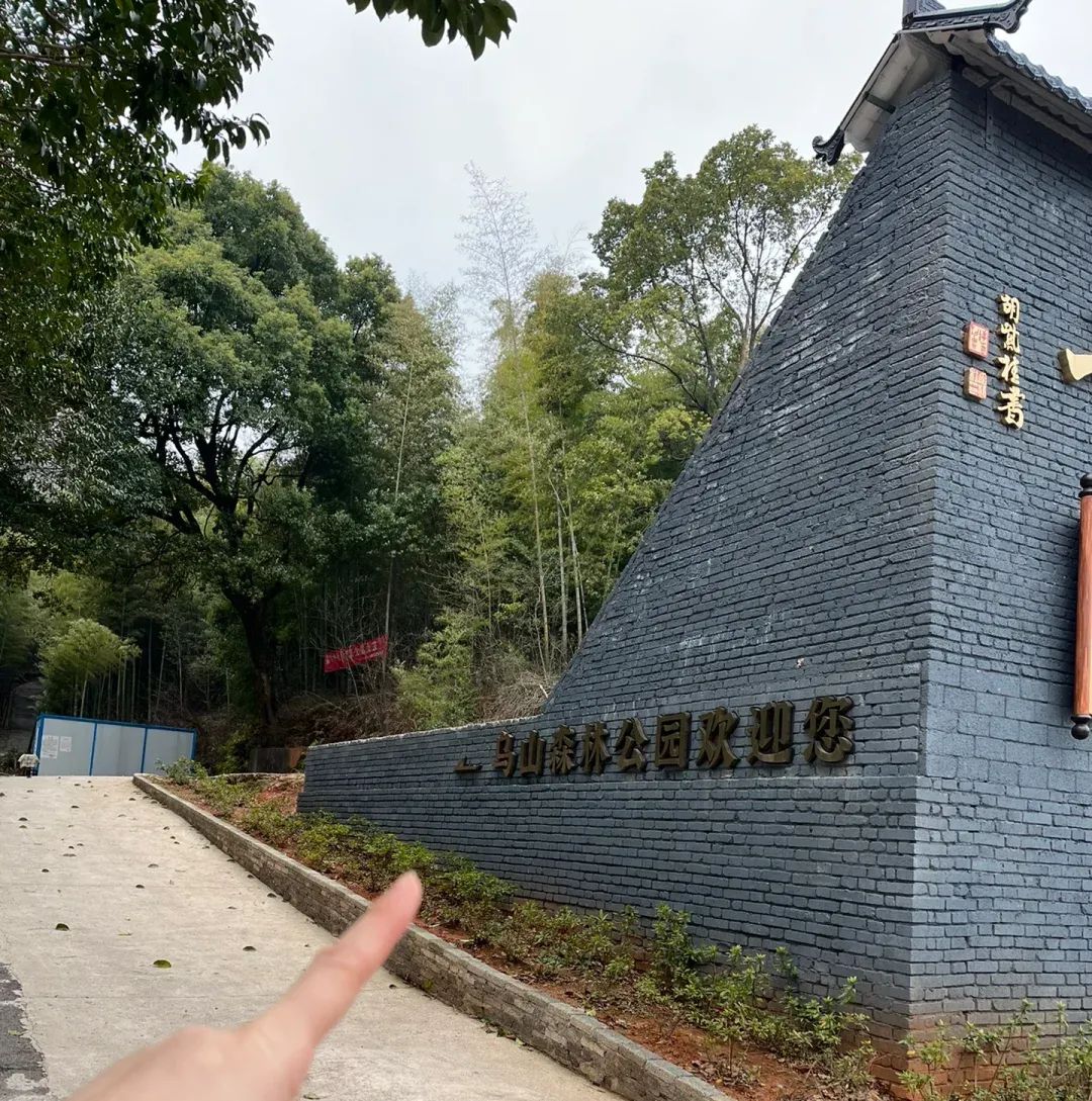 乌金山国家森林公园旅行图片 1