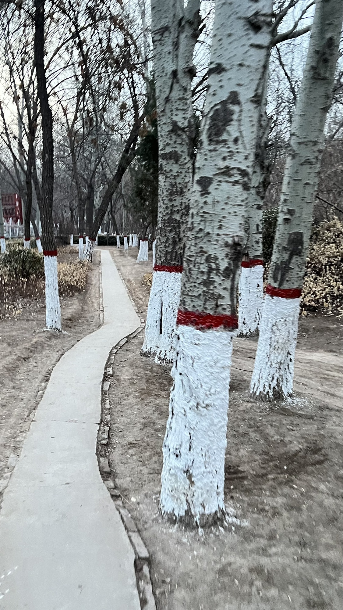 岭上公园旅行图片 1