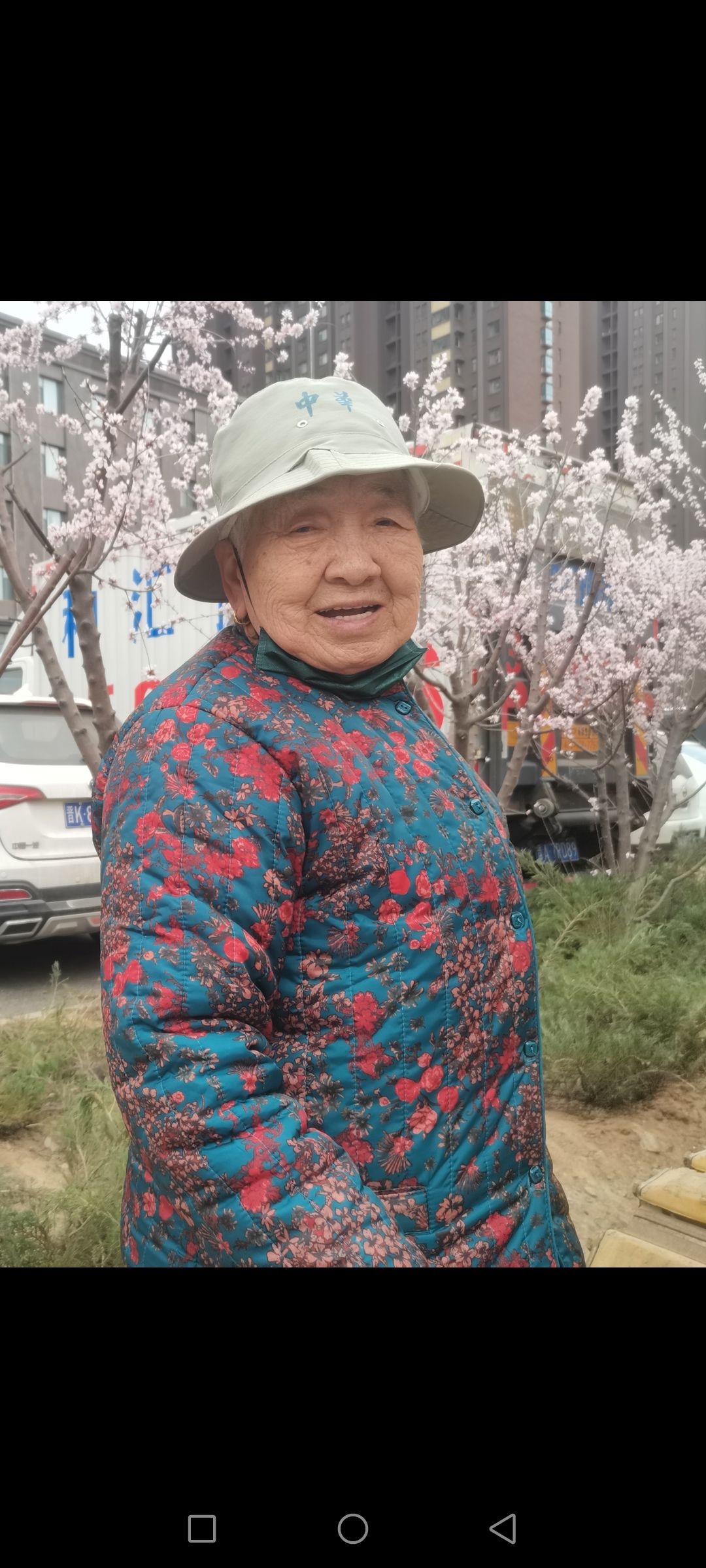 岭上公园旅行图片 1
