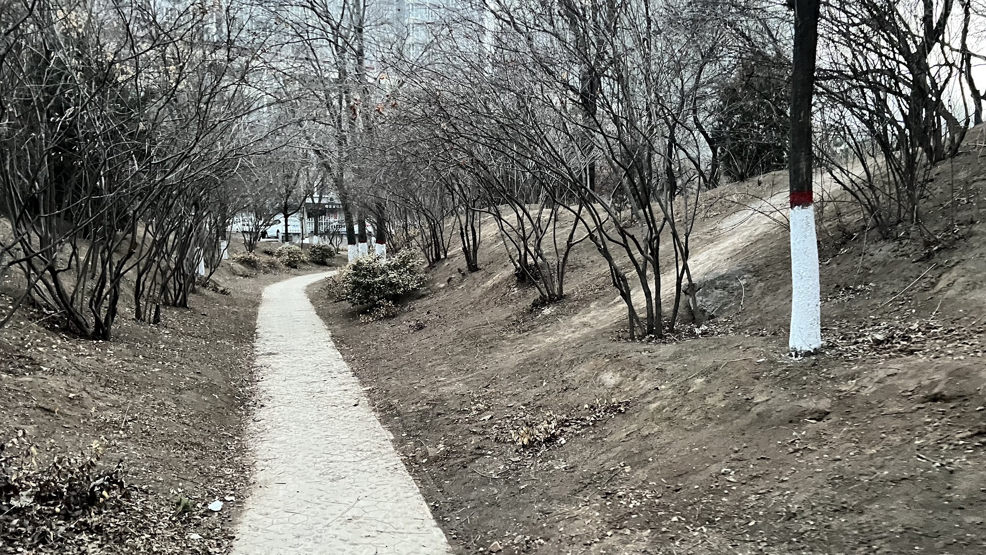 岭上公园旅行图片 3
