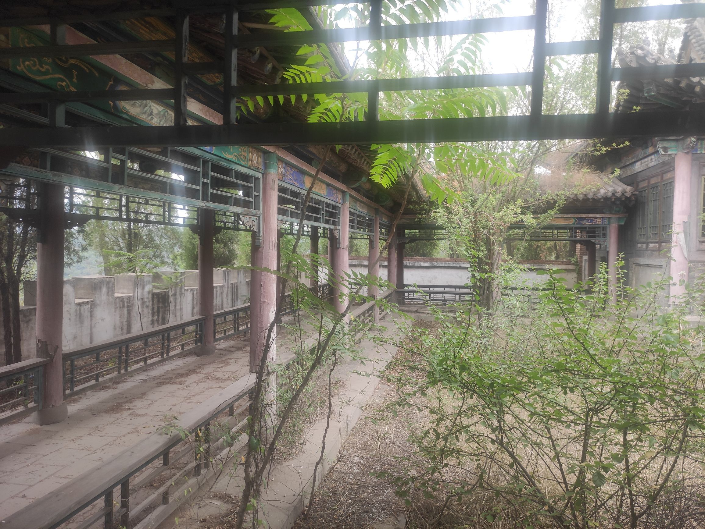 秦柏旅游生态园区旅行图片 1
