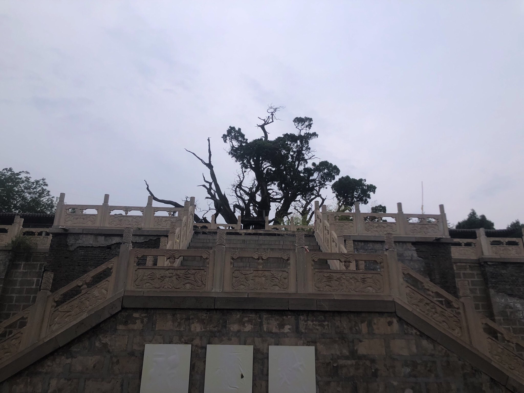 秦柏旅游生态园区旅行图片 1