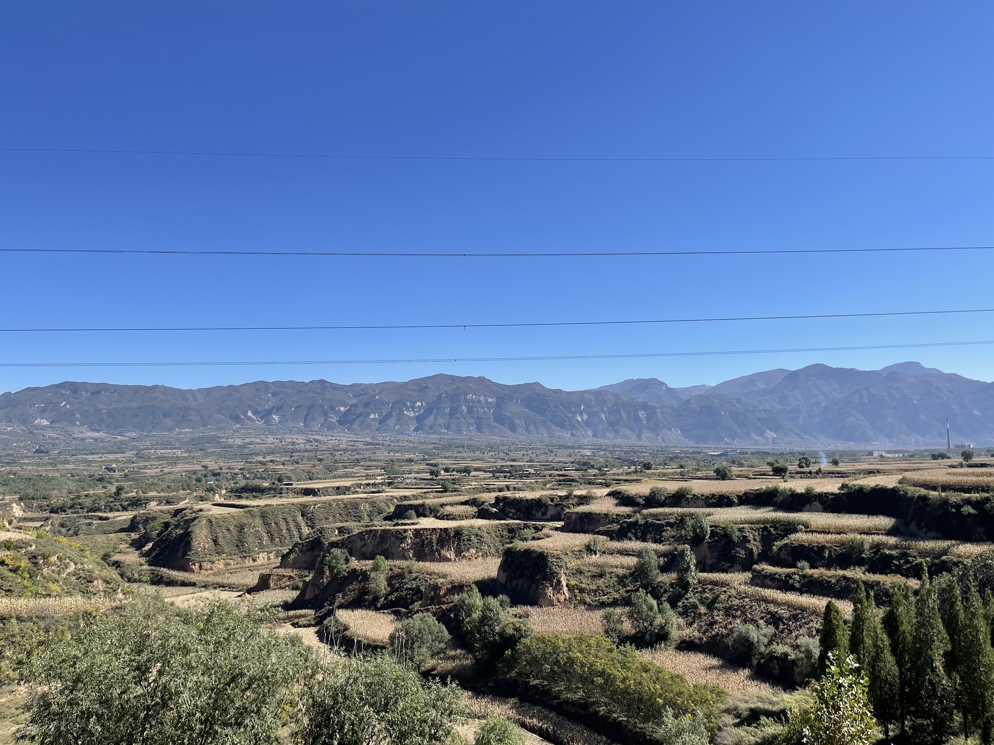 秦柏旅游生态园区旅行图片 2