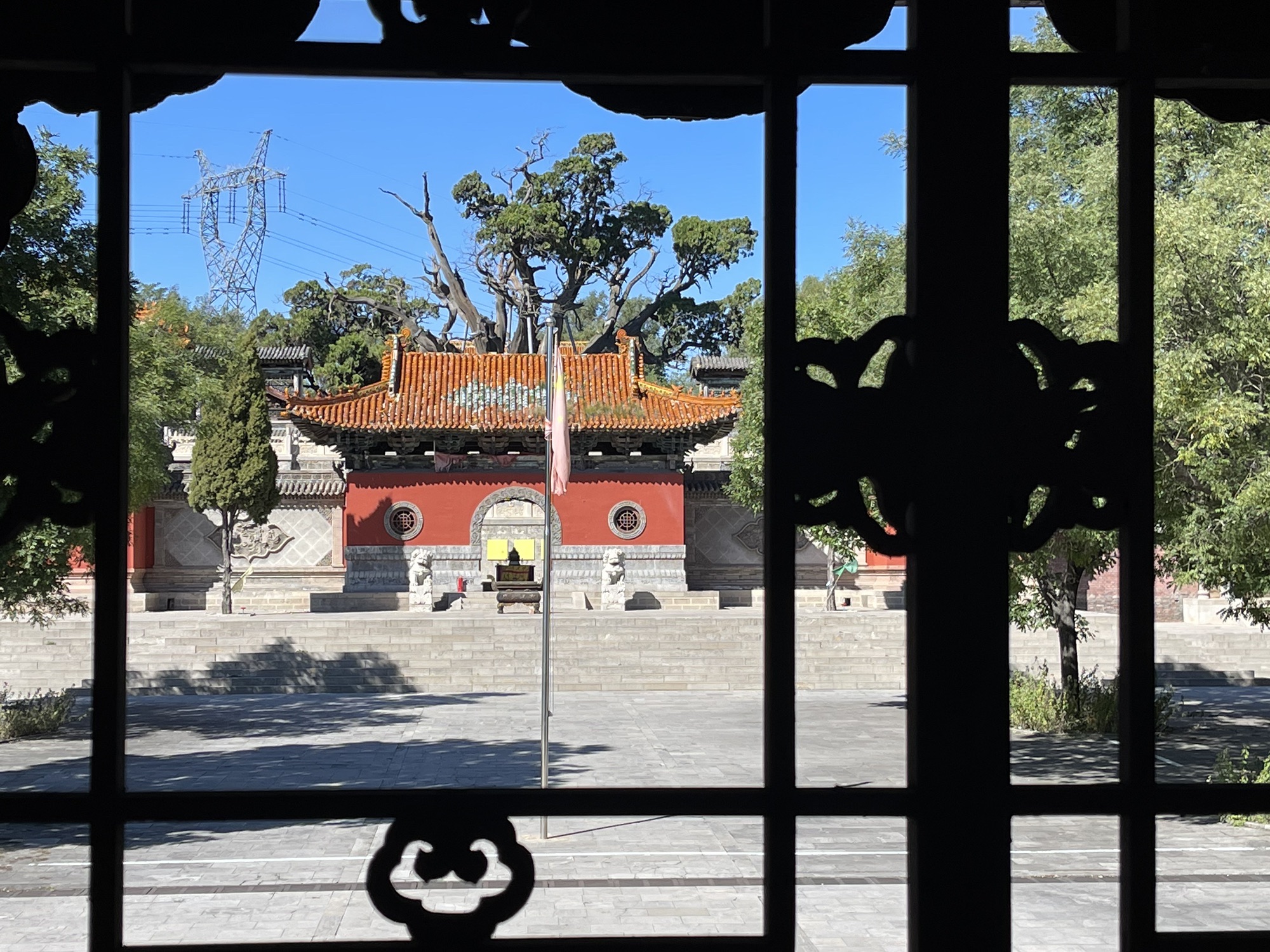 秦柏旅游生态园区旅行图片 1