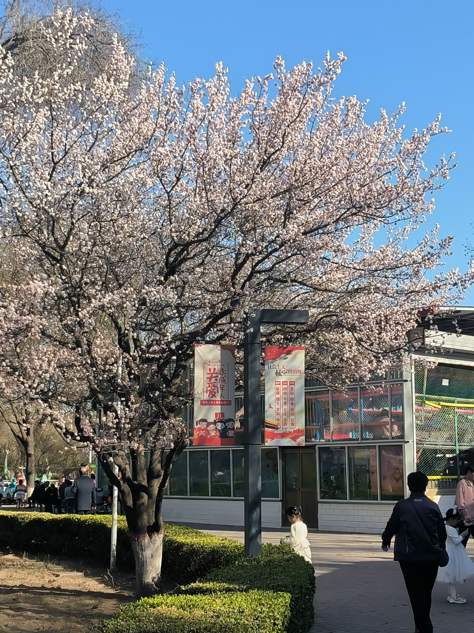 玉湖公园旅行图片 3
