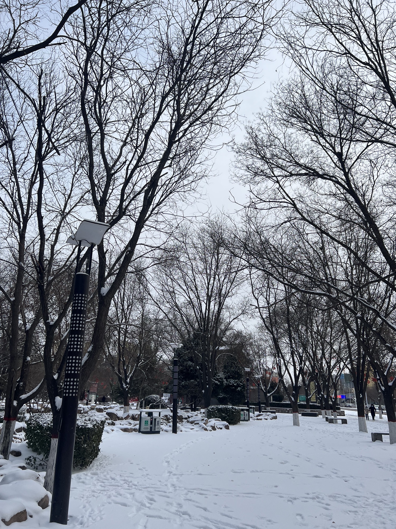 玉湖公园旅行图片 2