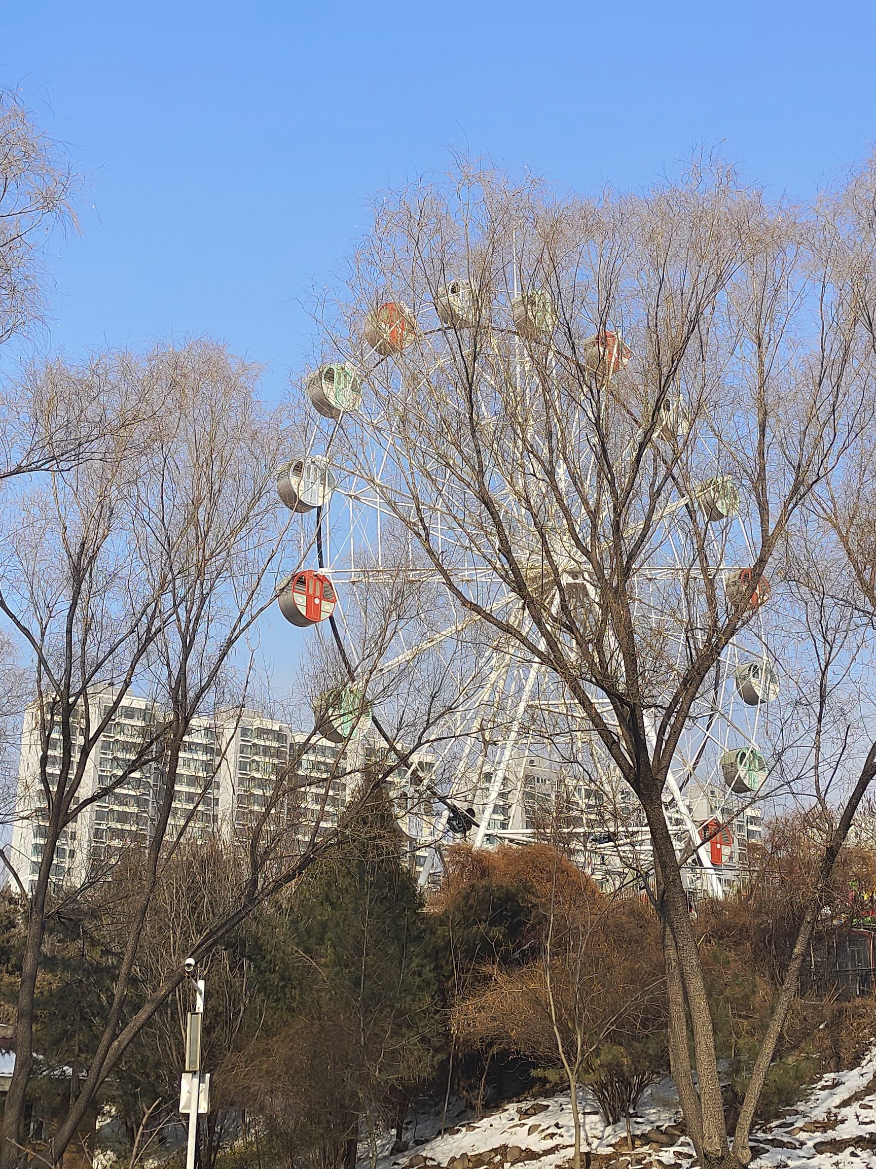 玉湖公园旅行图片 1