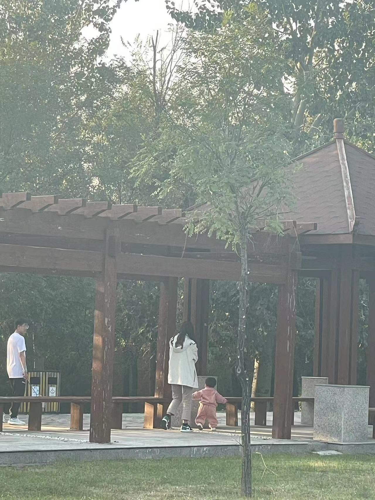 祁县人民公园旅行图片 1