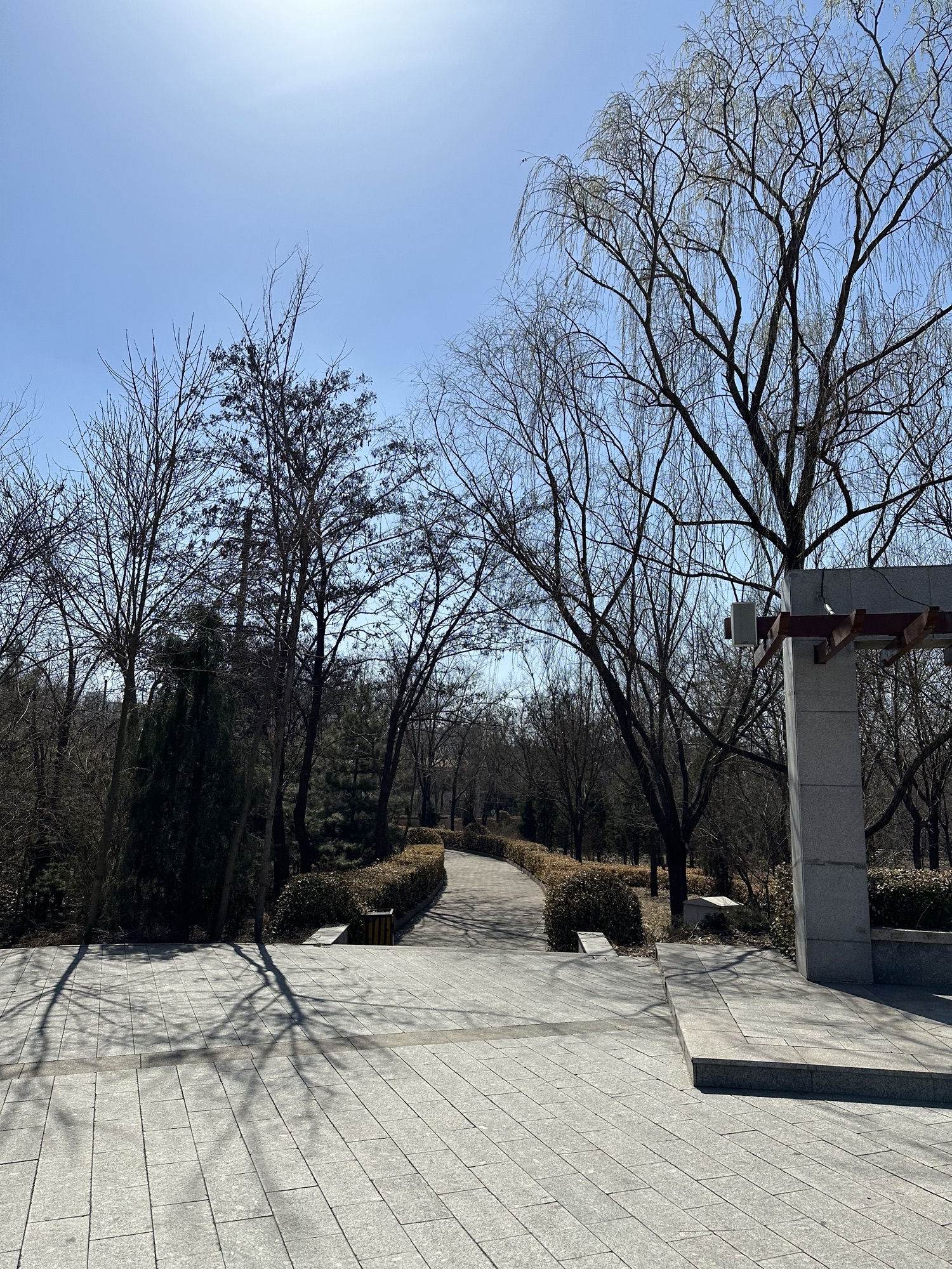 祁县人民公园旅行图片 2