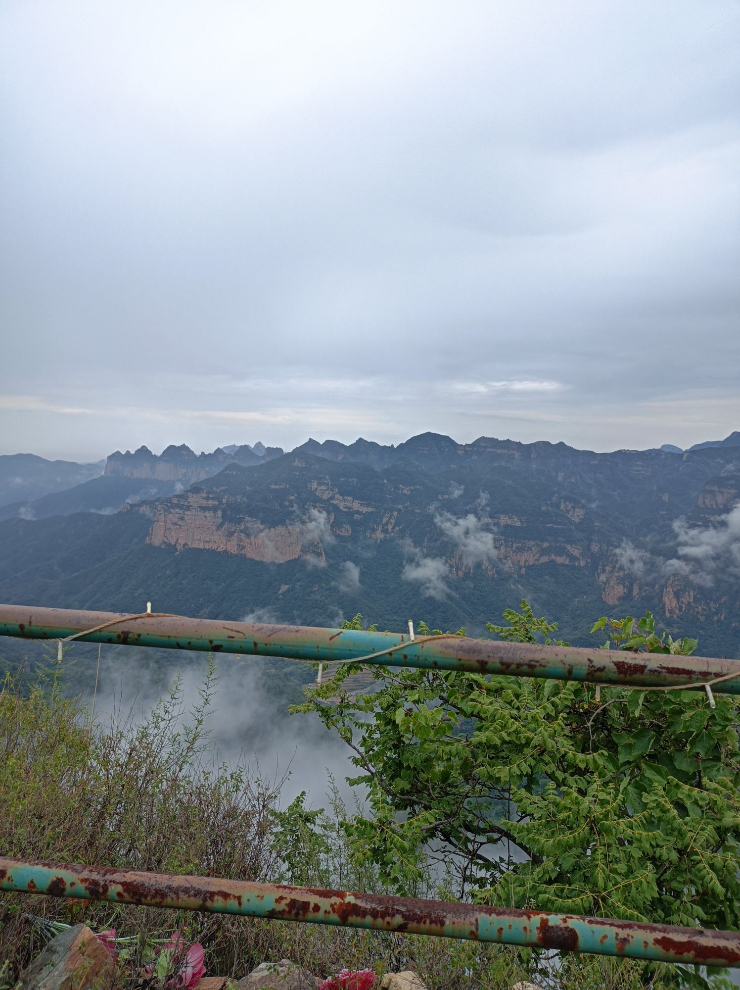 紫金山风景区旅行图片 3