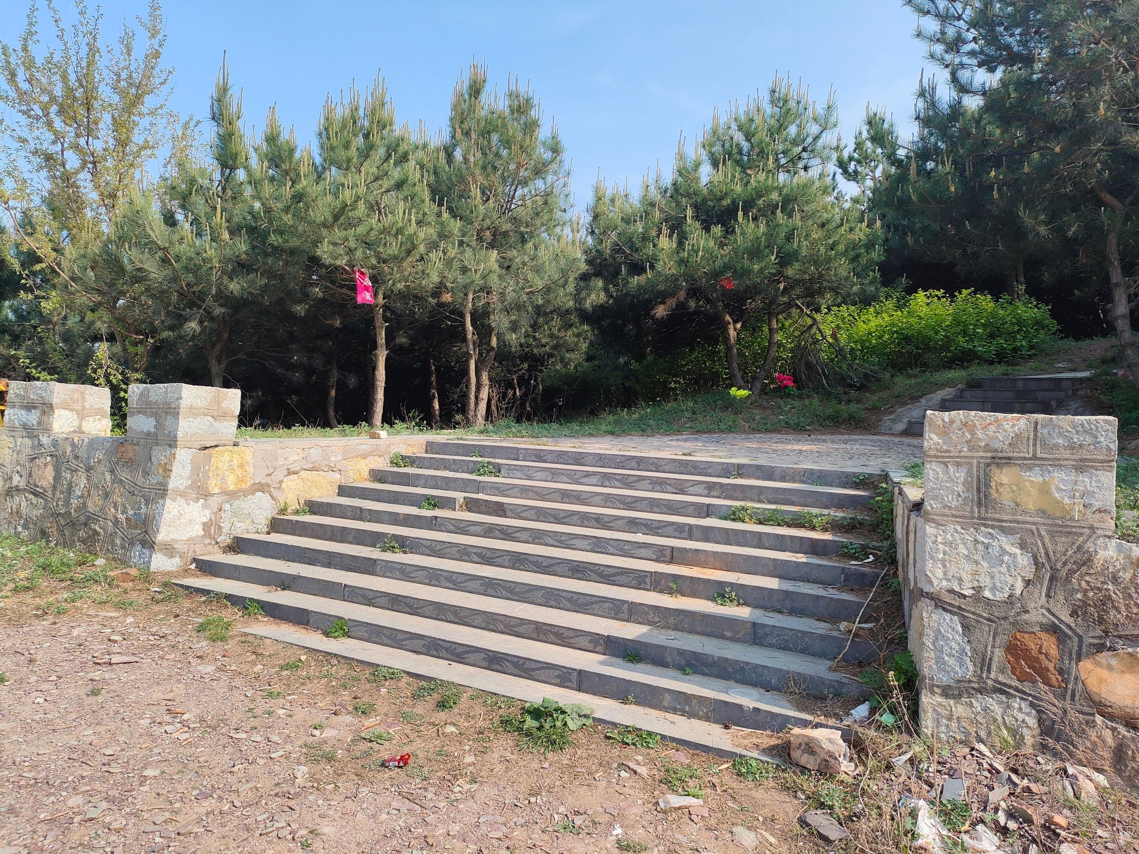 紫金山风景区旅行图片 3