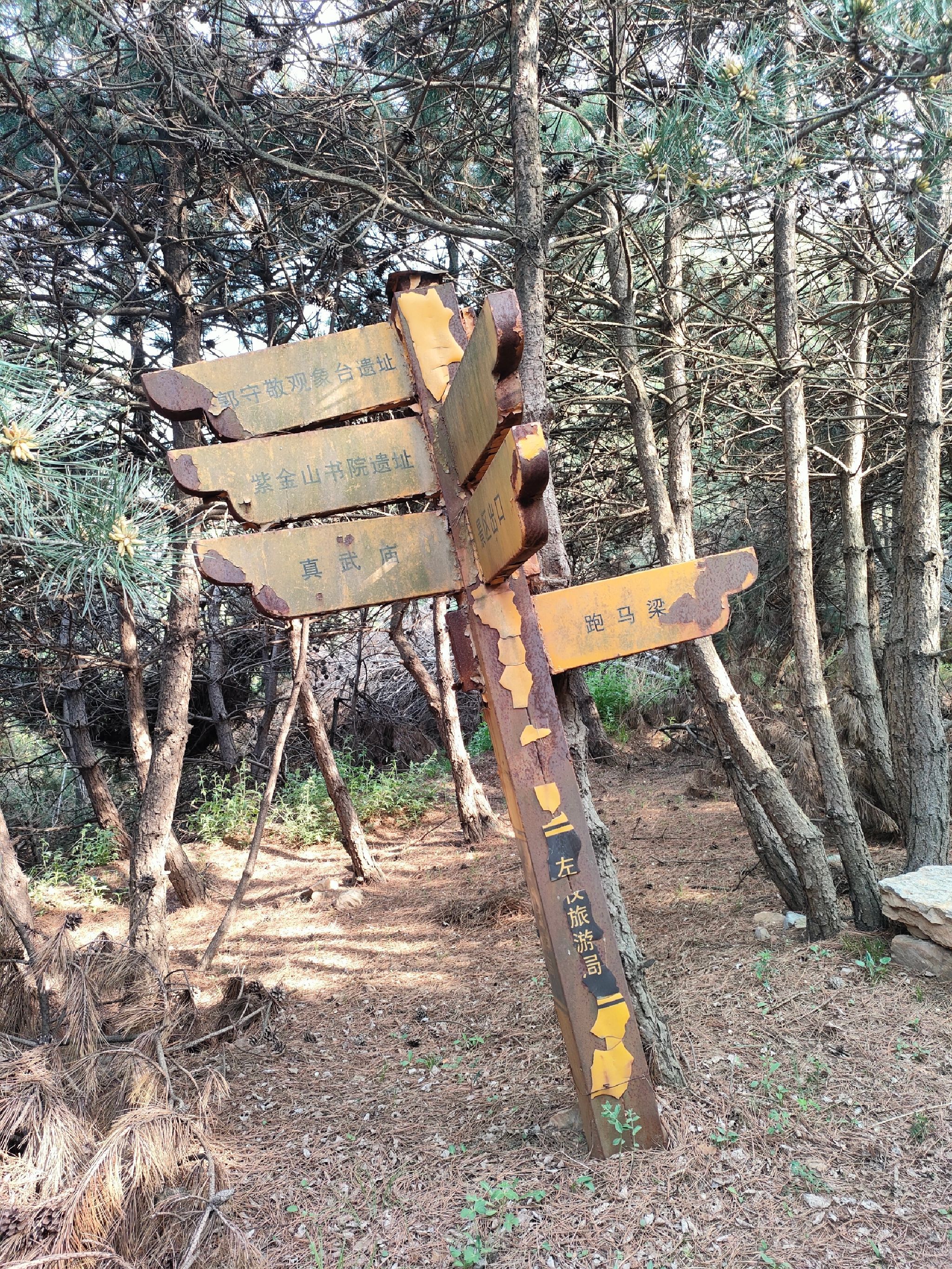 紫金山风景区旅行图片 2