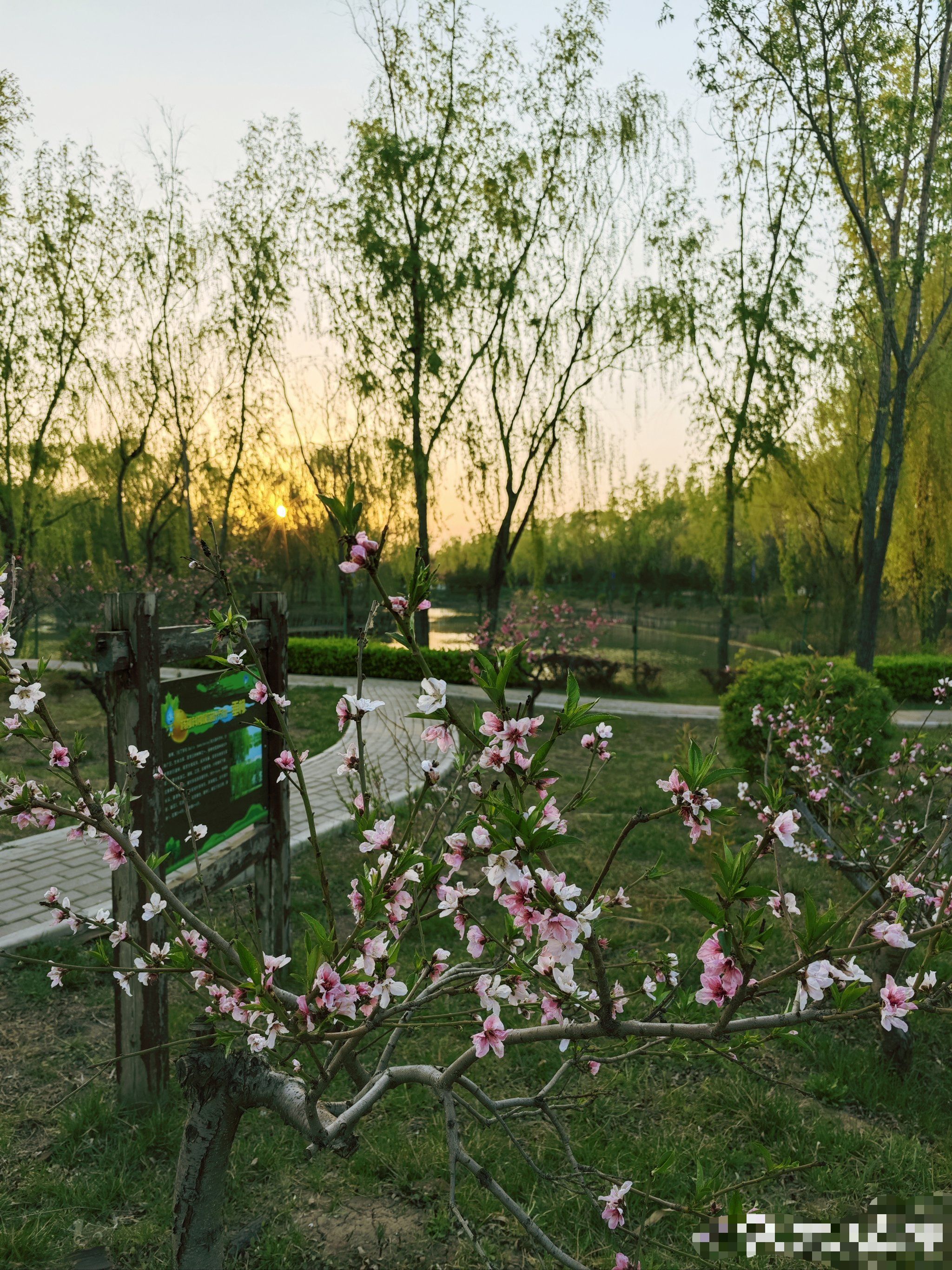 介休汾河国家湿地公园旅行图片 2