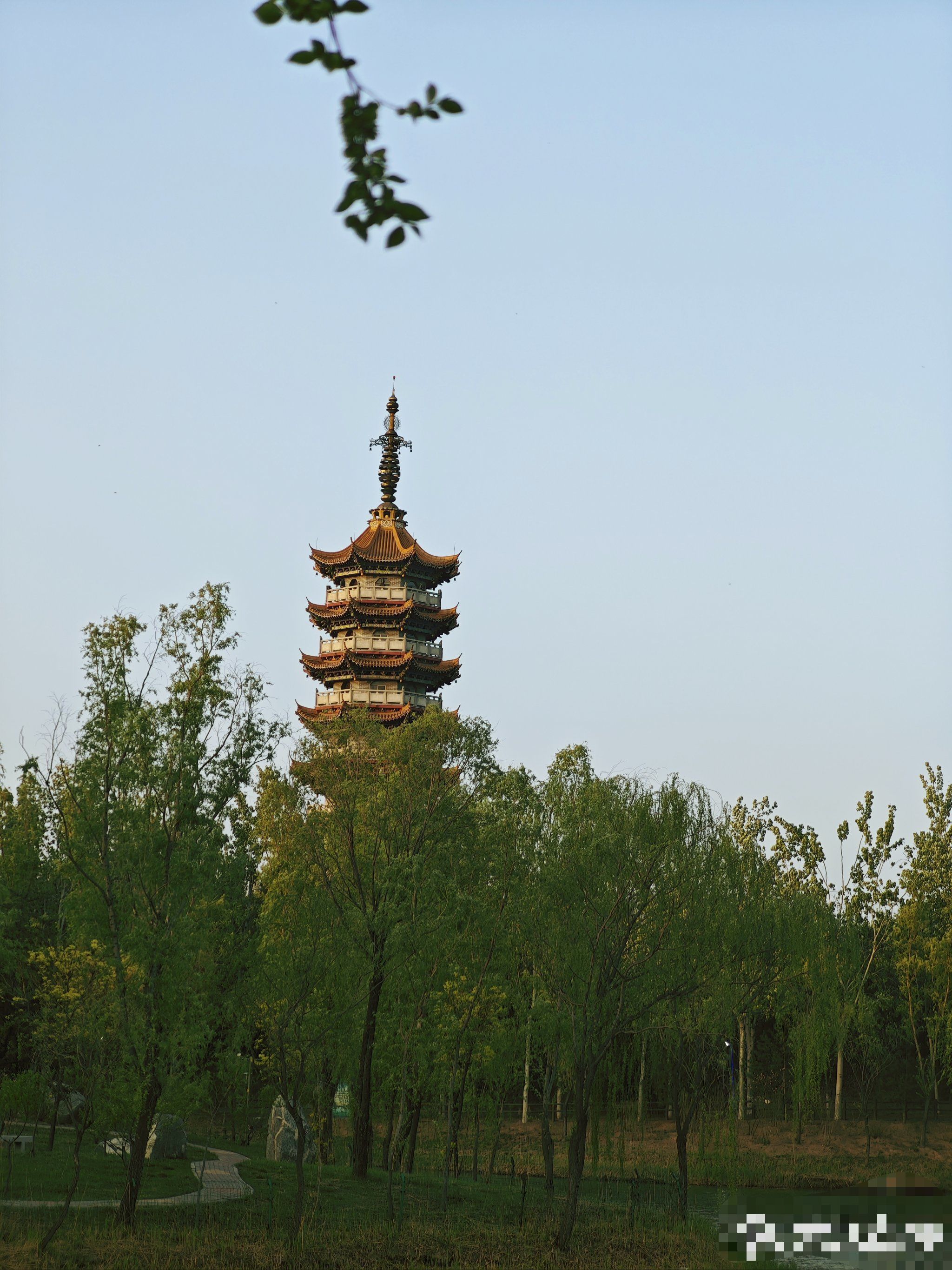 介休汾河国家湿地公园旅行图片 3