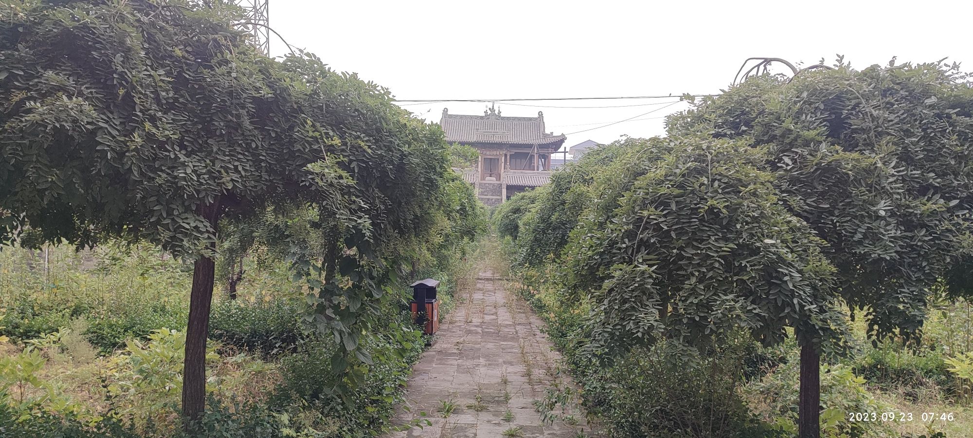 文昌宫旅行图片