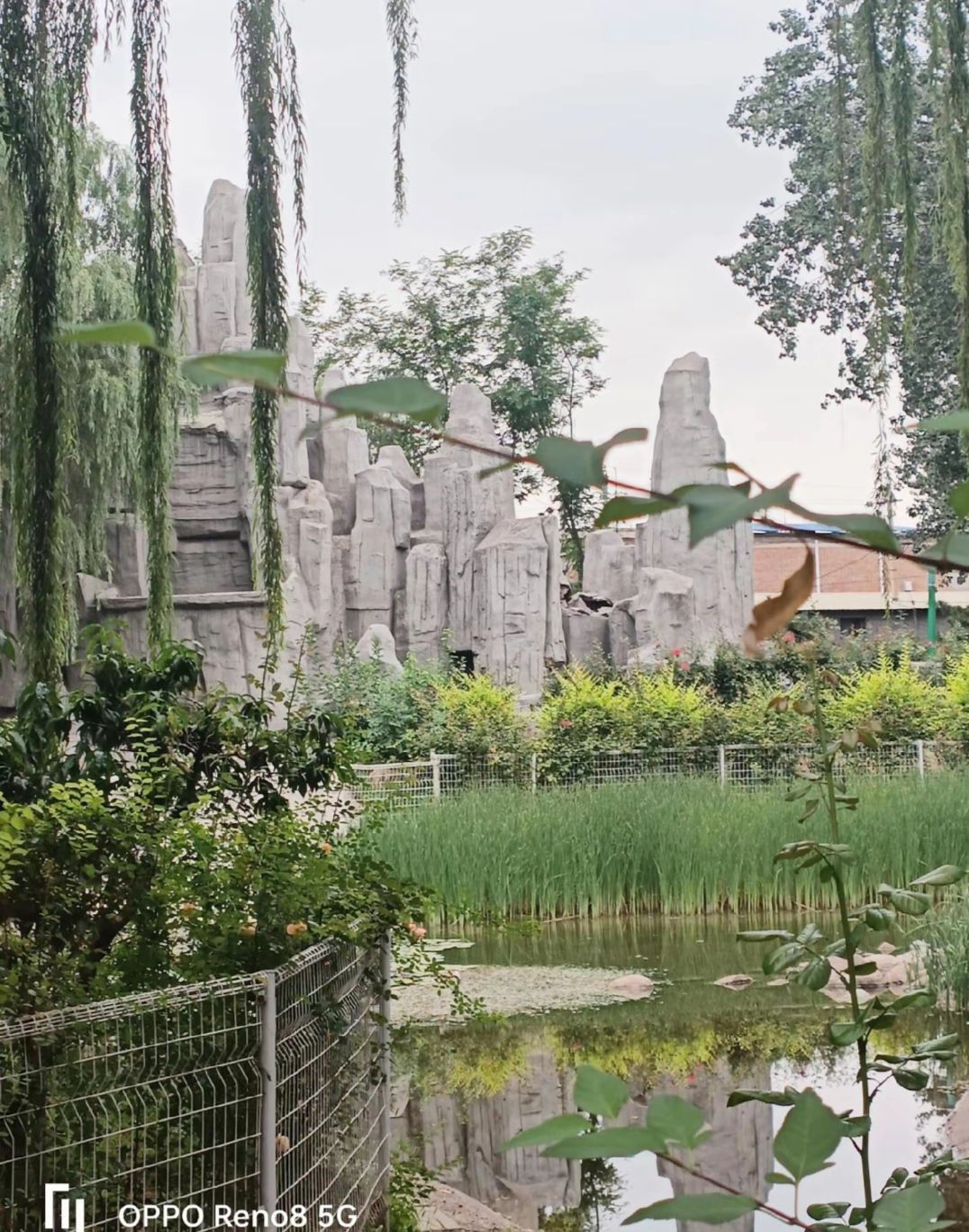 东城·公园旅行图片 1