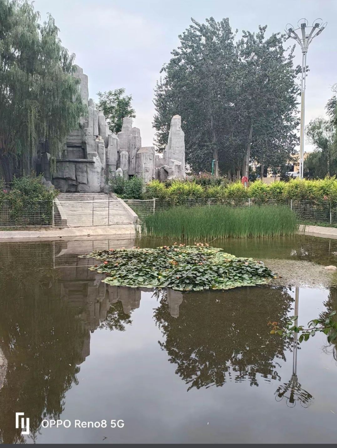 东城·公园旅行图片 2