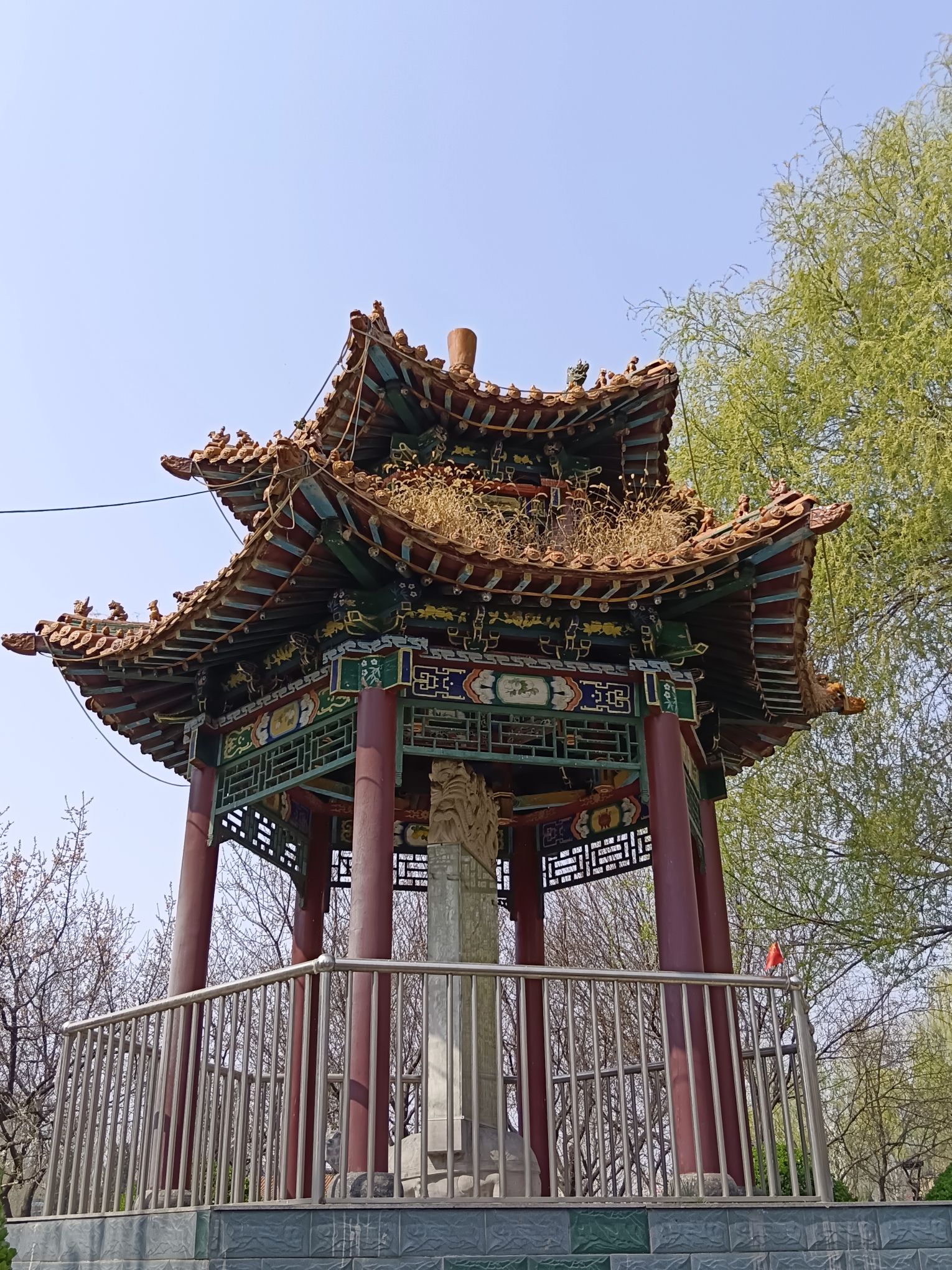 西苑公园旅行图片 3