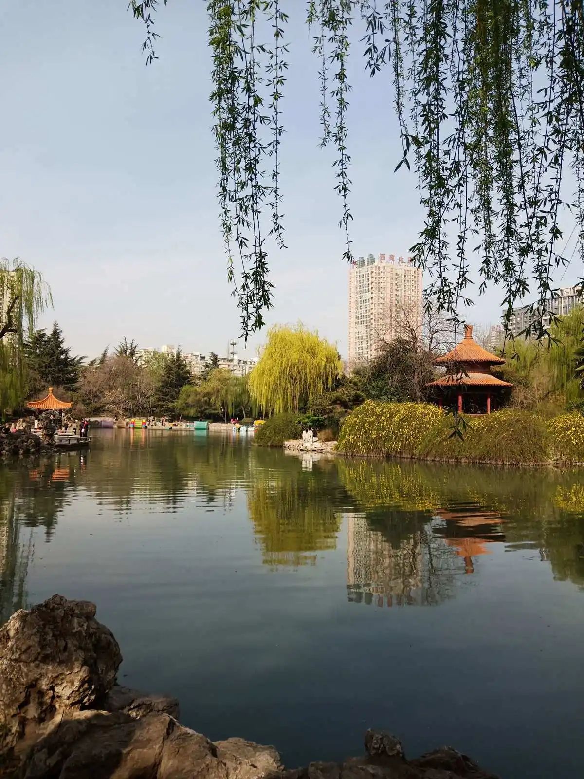 西苑公园旅行图片 1