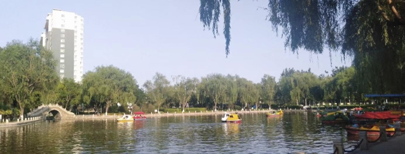 西苑公园旅行图片 3