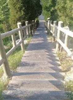 西苑公园旅行图片 1
