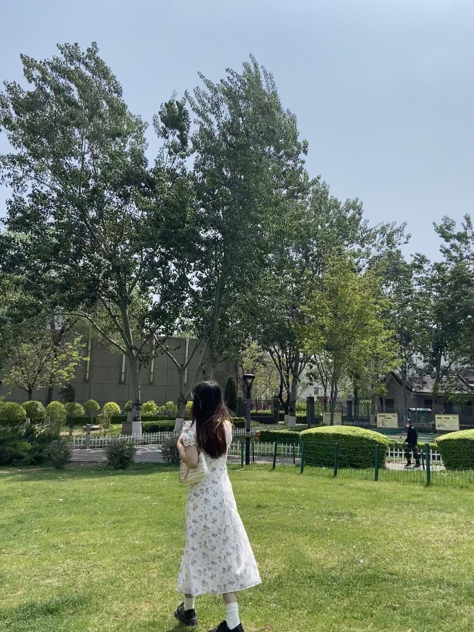 西苑公园旅行图片 3