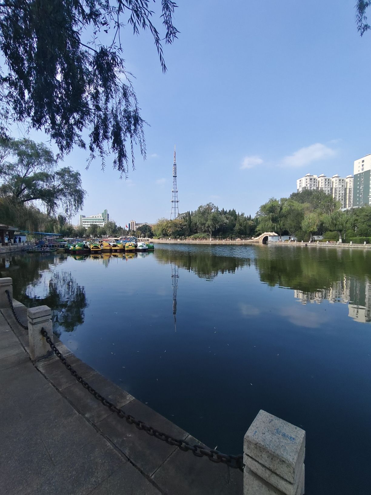 西苑公园旅行图片 3