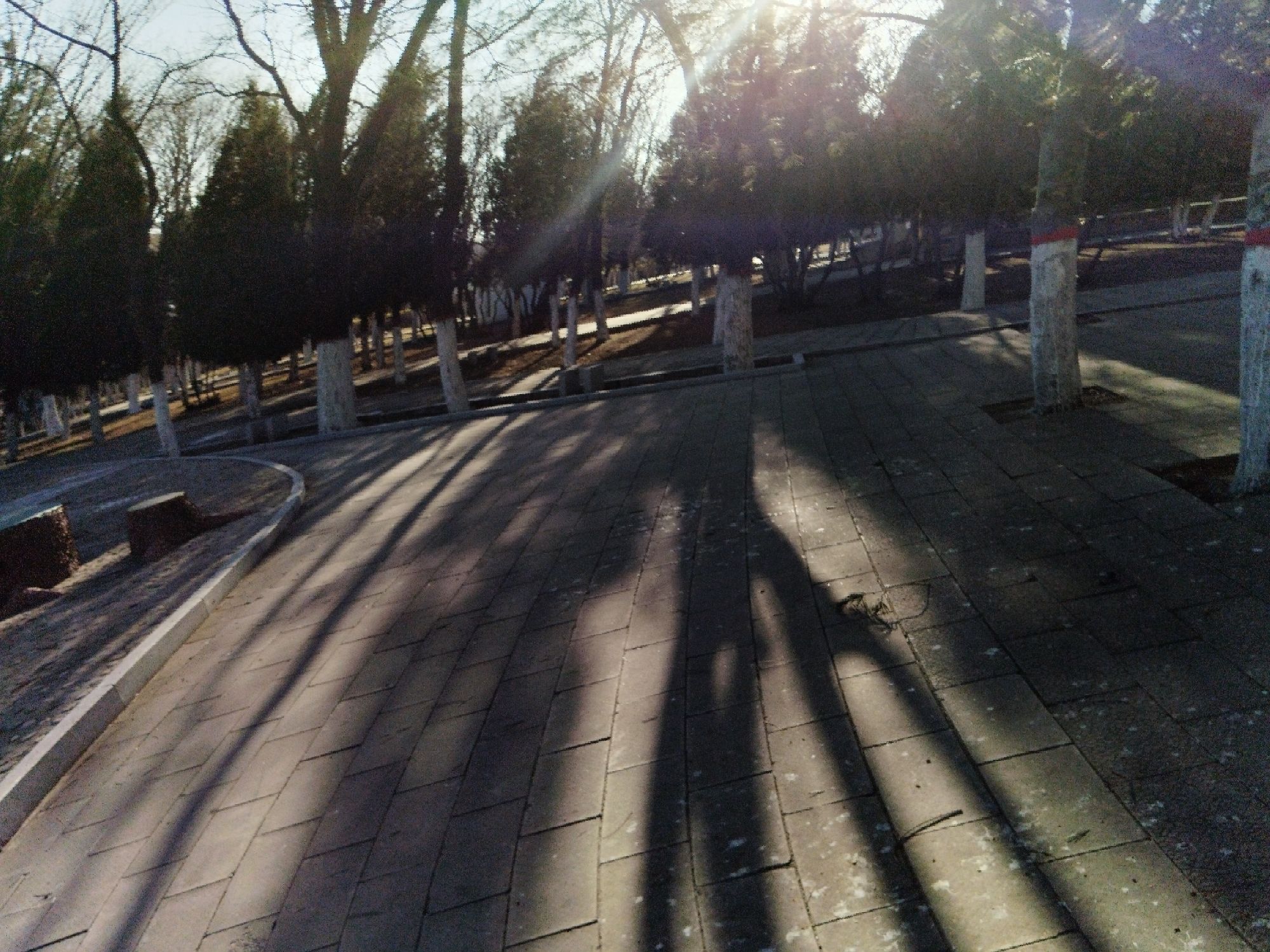 松溪公园旅行图片