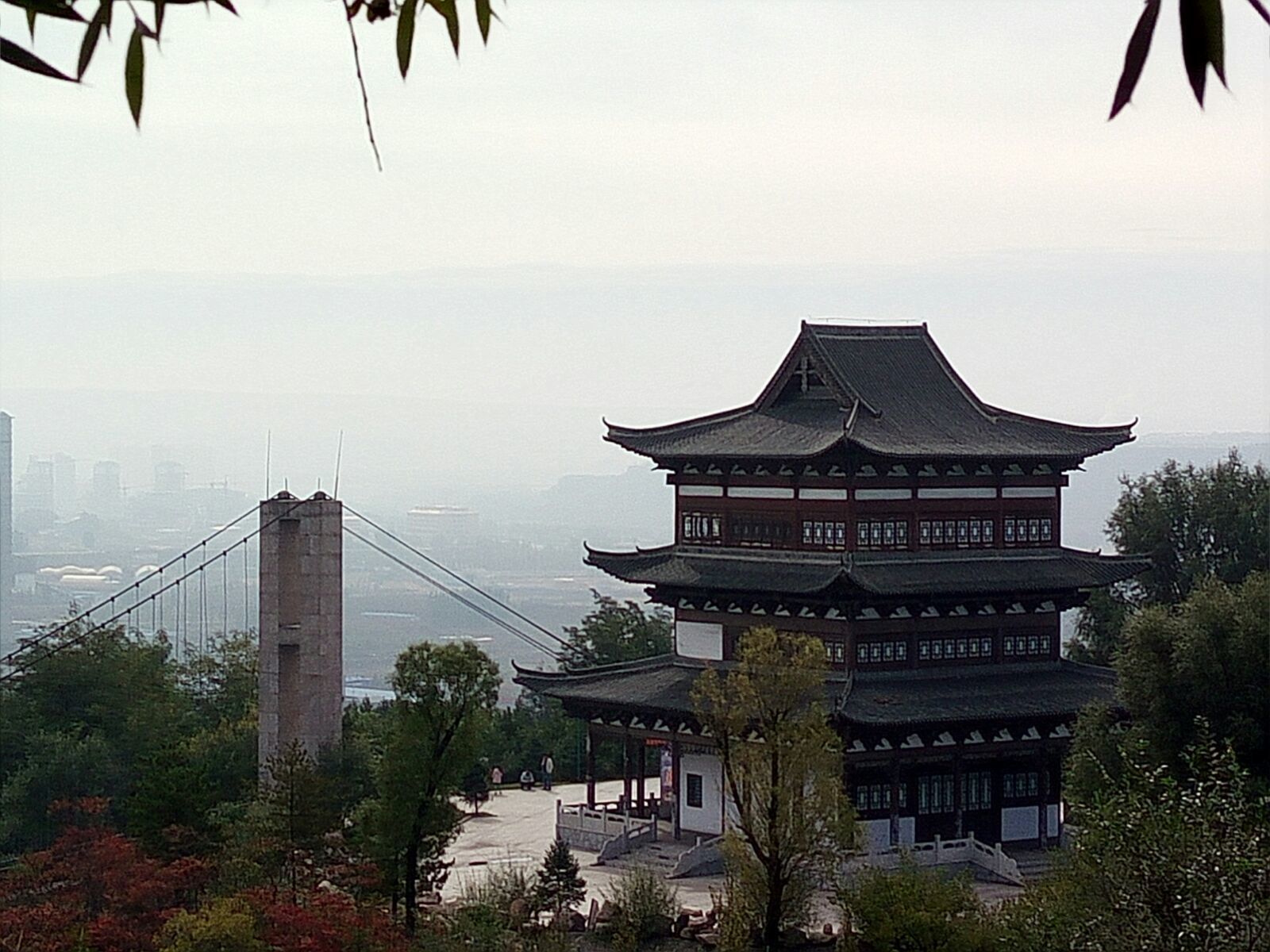 森林公园旅行图片 1