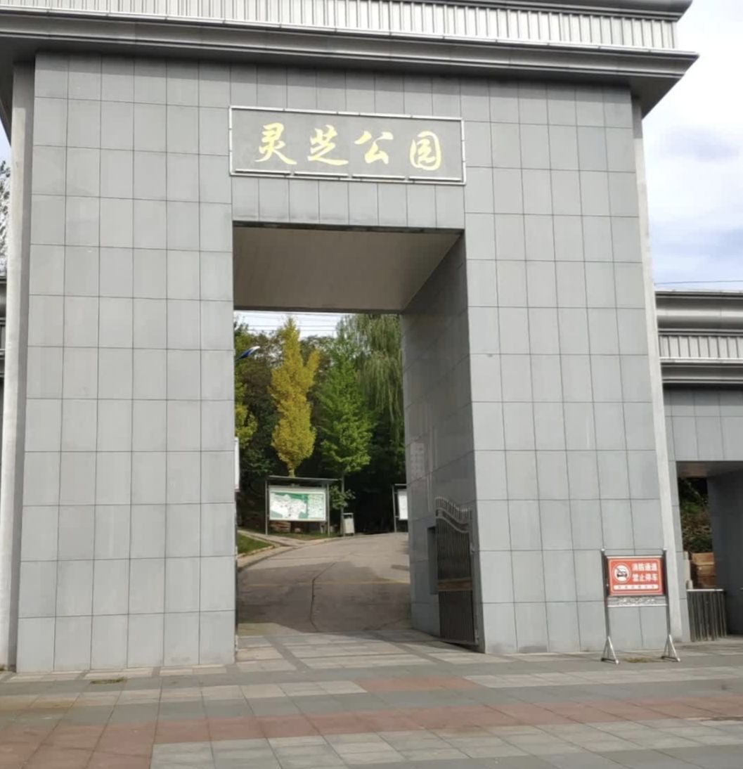 灵芝公园