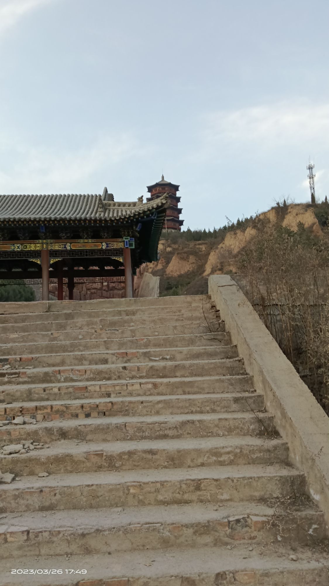 灵芝公园旅行图片 1
