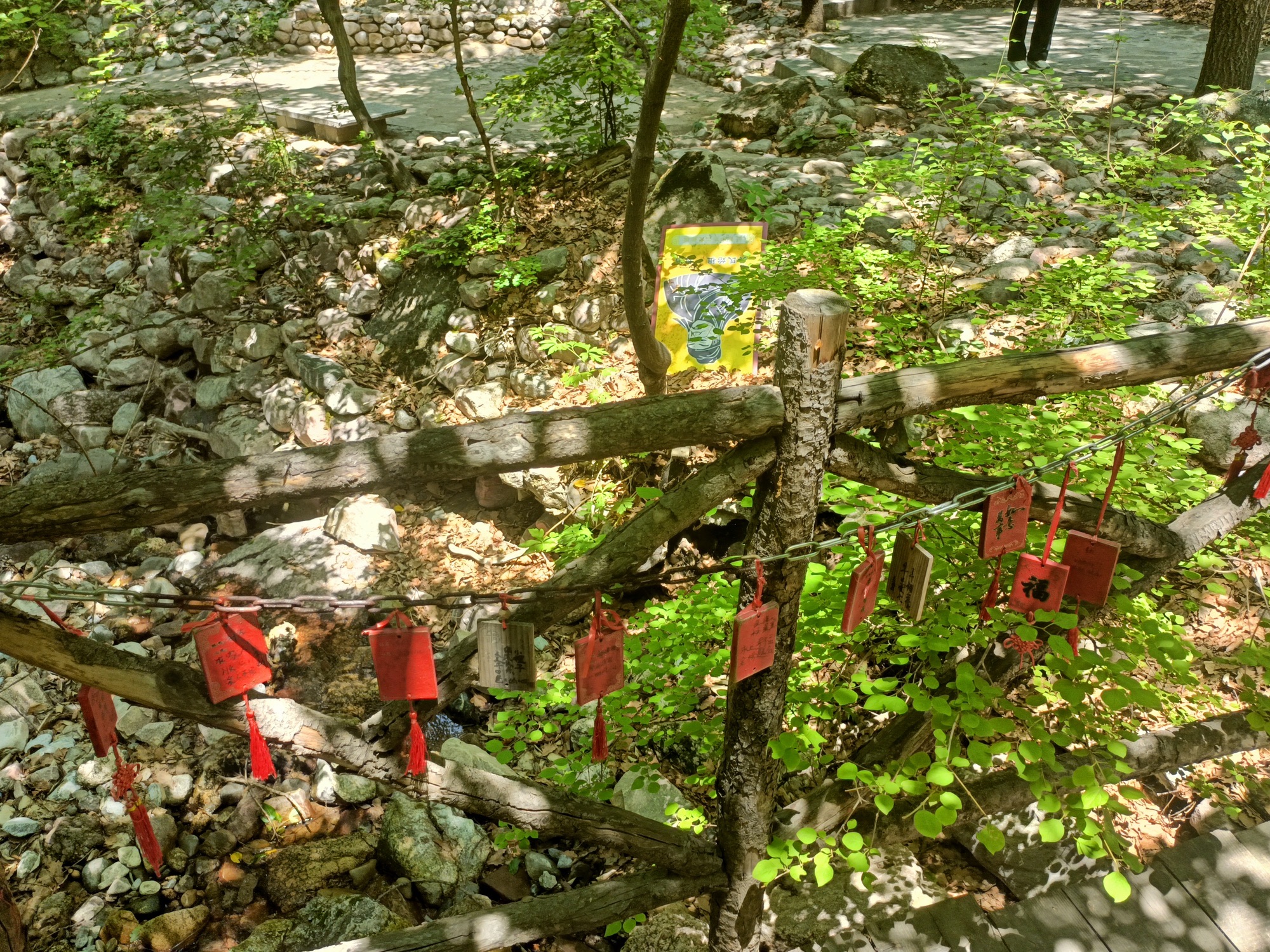 红崖峡谷景区旅行图片 1